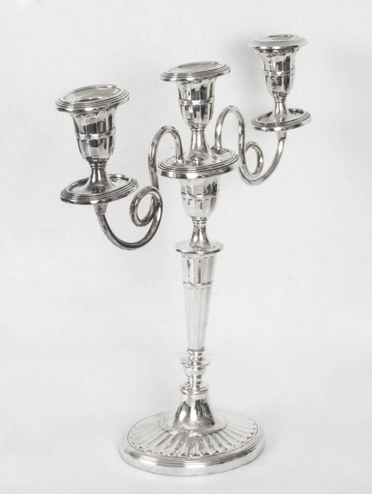 Antique Comprising Pair of Candelabra and Candlesticks, 19th Century 1