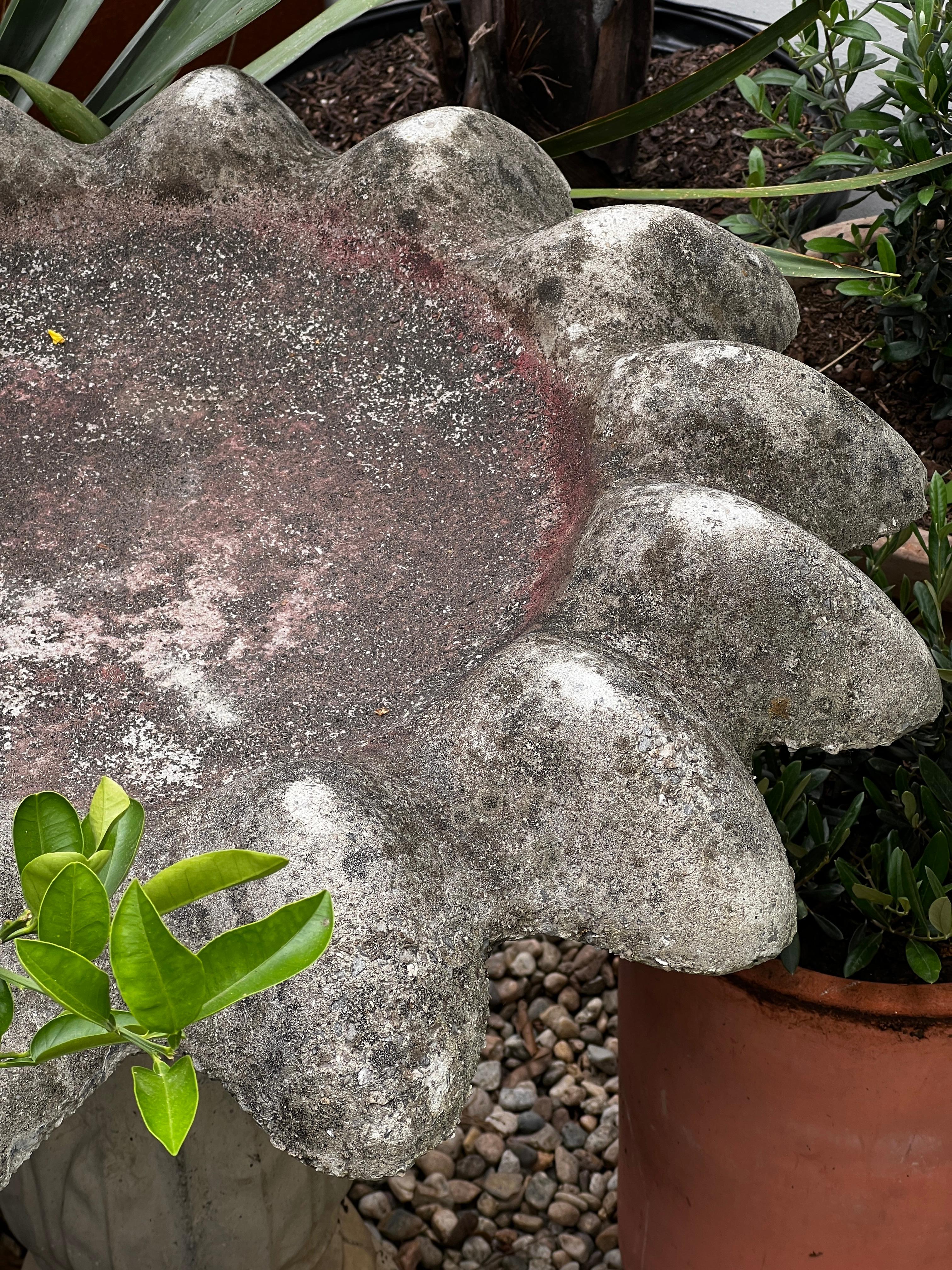 Eine bezaubernde Vogeltränke aus gegossenem Beton im Vintage-Stil mit einem Becken in Form einer Blumenblüte, das von einem klassischen, geriffelten Sockel getragen wird. Die attraktive Verwitterung und die natürliche Patina verleihen dem Stück eine