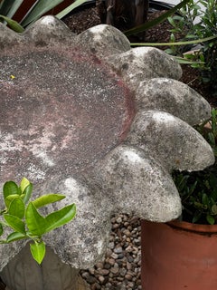 Vintage Concrete Flower Petal Birdbath on Fluted Pedestal