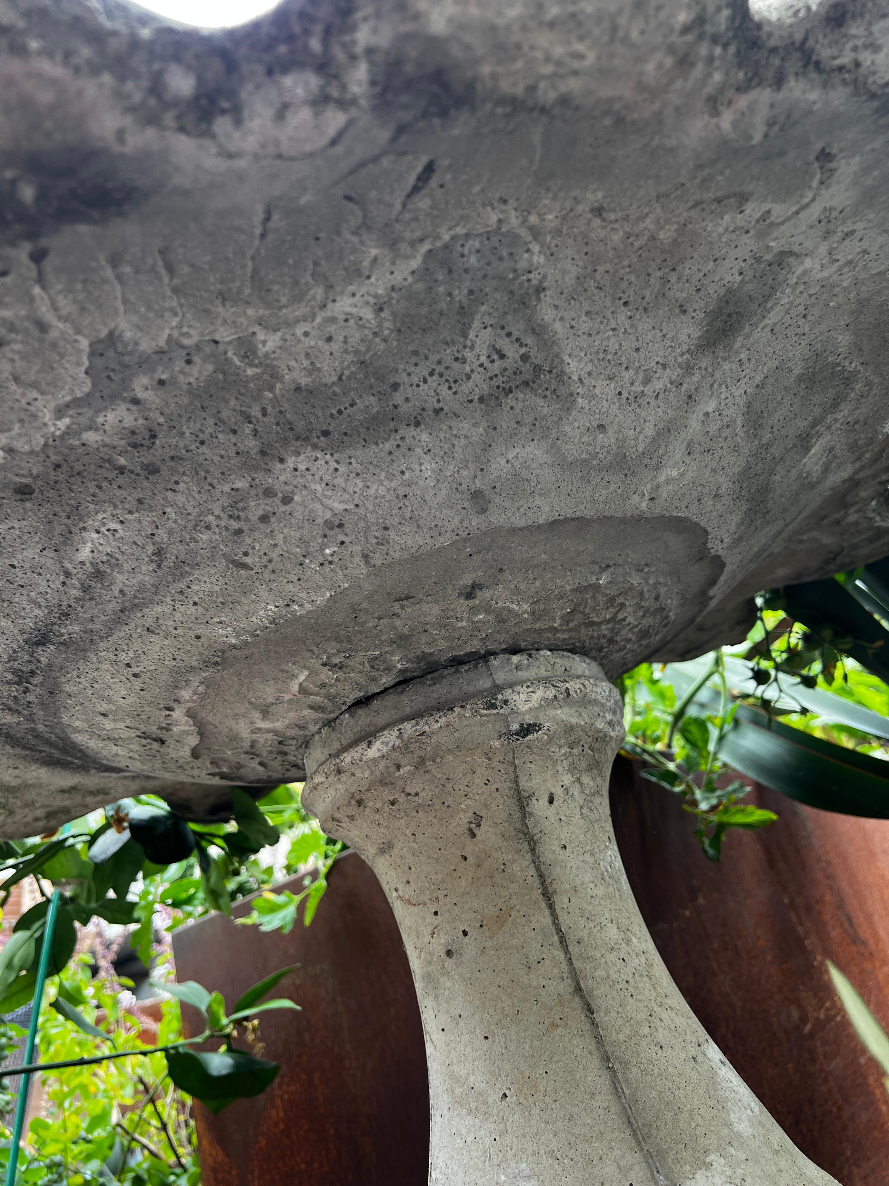 Vintage Concrete Blumenblatt-Vogelbath aus Beton auf geriffeltem Sockel (20. Jahrhundert) im Angebot