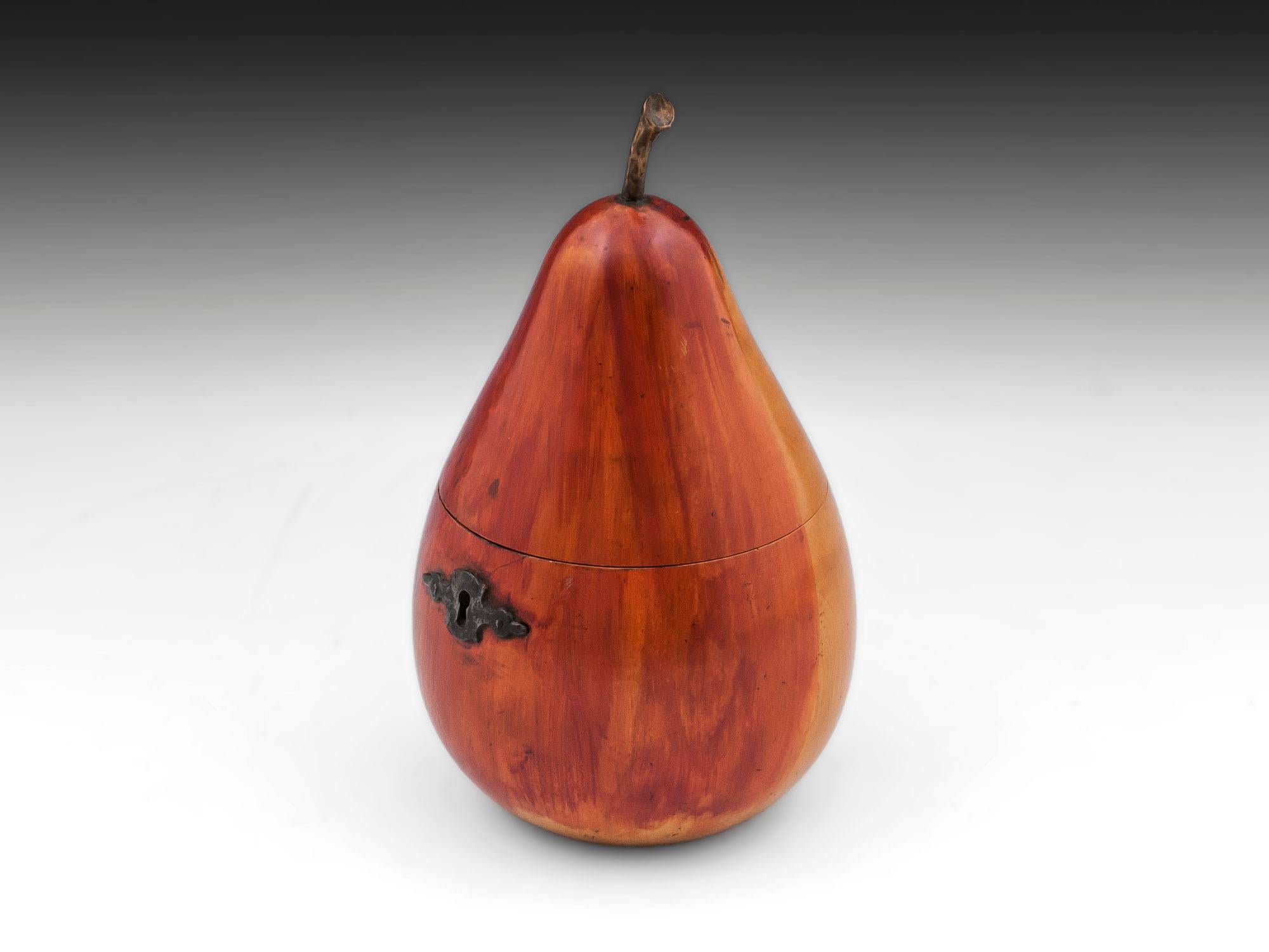 European Antique Continental Blushing Pear Tea Caddy 19th Century