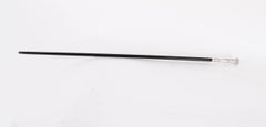 Antique Continental Neo-classical Silver Walking Stick 19th Century