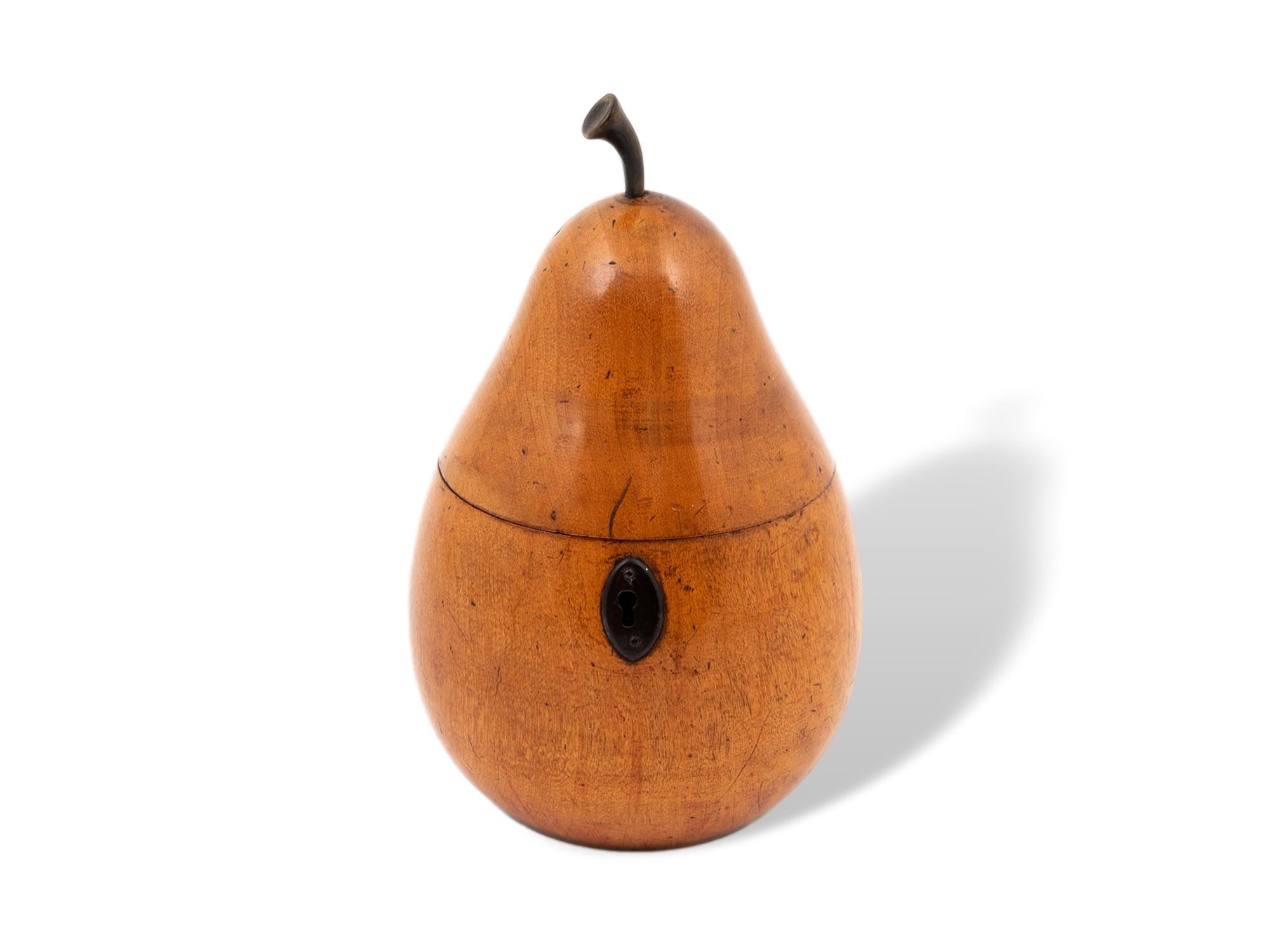 Georgian Antique Continental Pear Fruit Novelty Tea Caddy