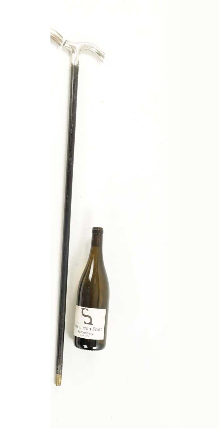 Antique Continental Silver Walking Stick Cane 19th Century 1
