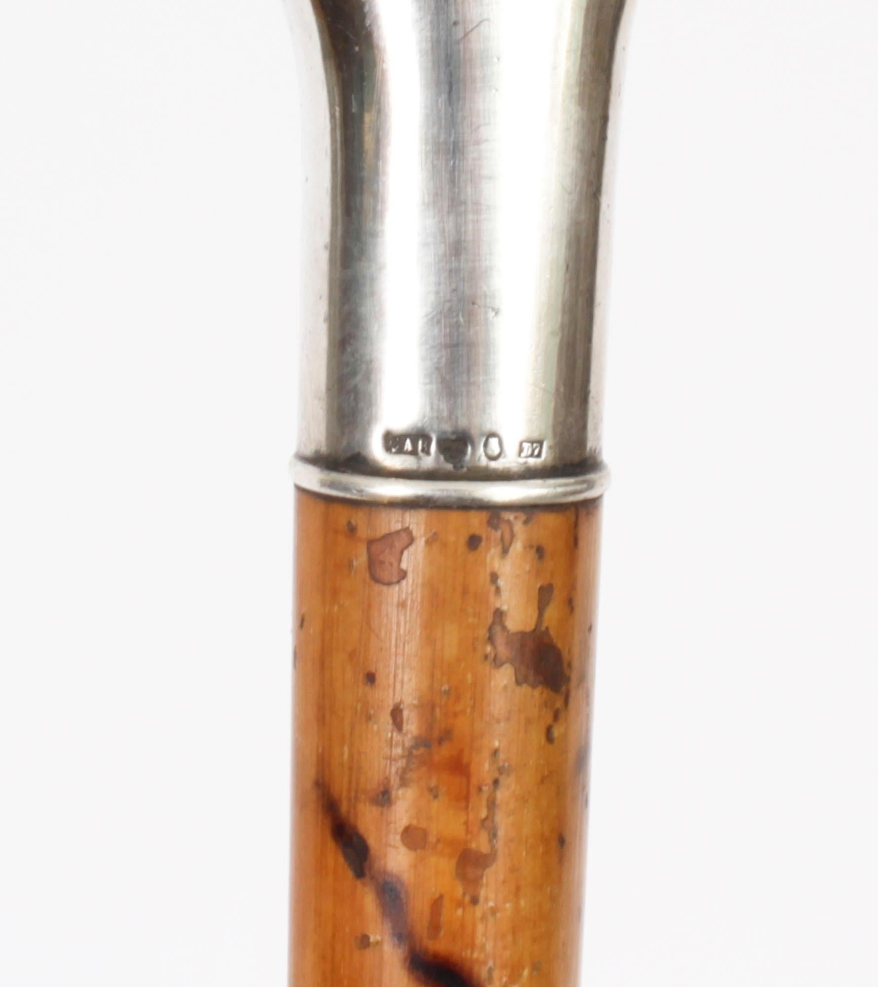 Antique Continetal Silver Ebonized Walking Cane Stick Late 19th Century For Sale 3