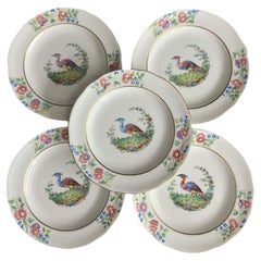 Antique Copeland Spode Plate With Exotic Bird - Set of Five