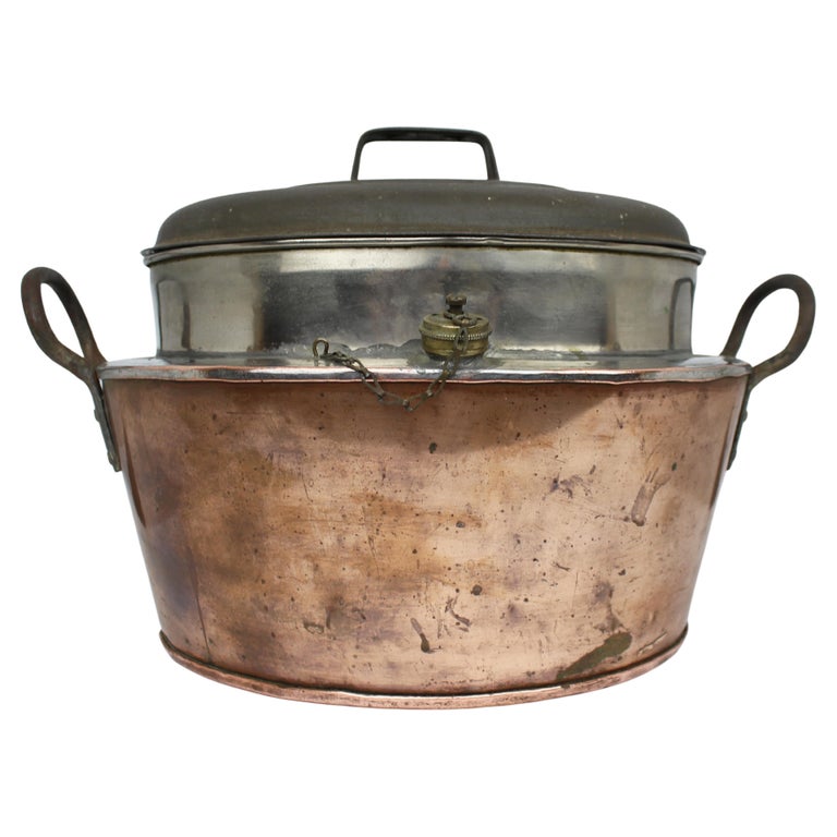 Antique Copper Fish Steamer Welbank's Boilerette Banbury For Sale at 1stDibs