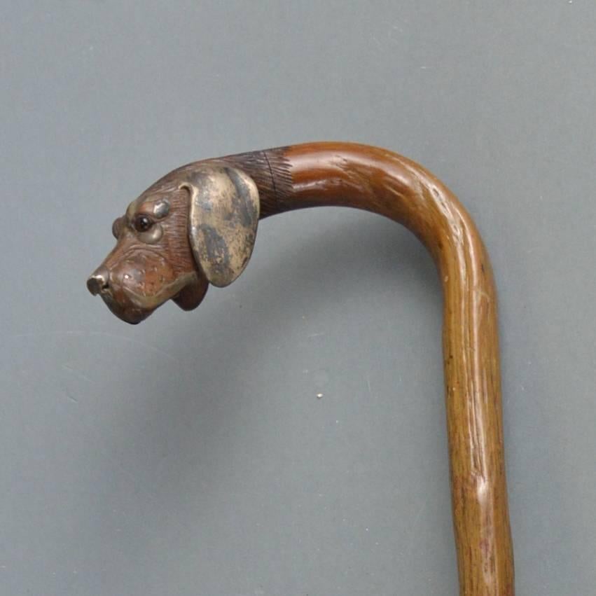 Belgian Antique Copper Mounted Carved Wooden Dogs Head Walking Stick