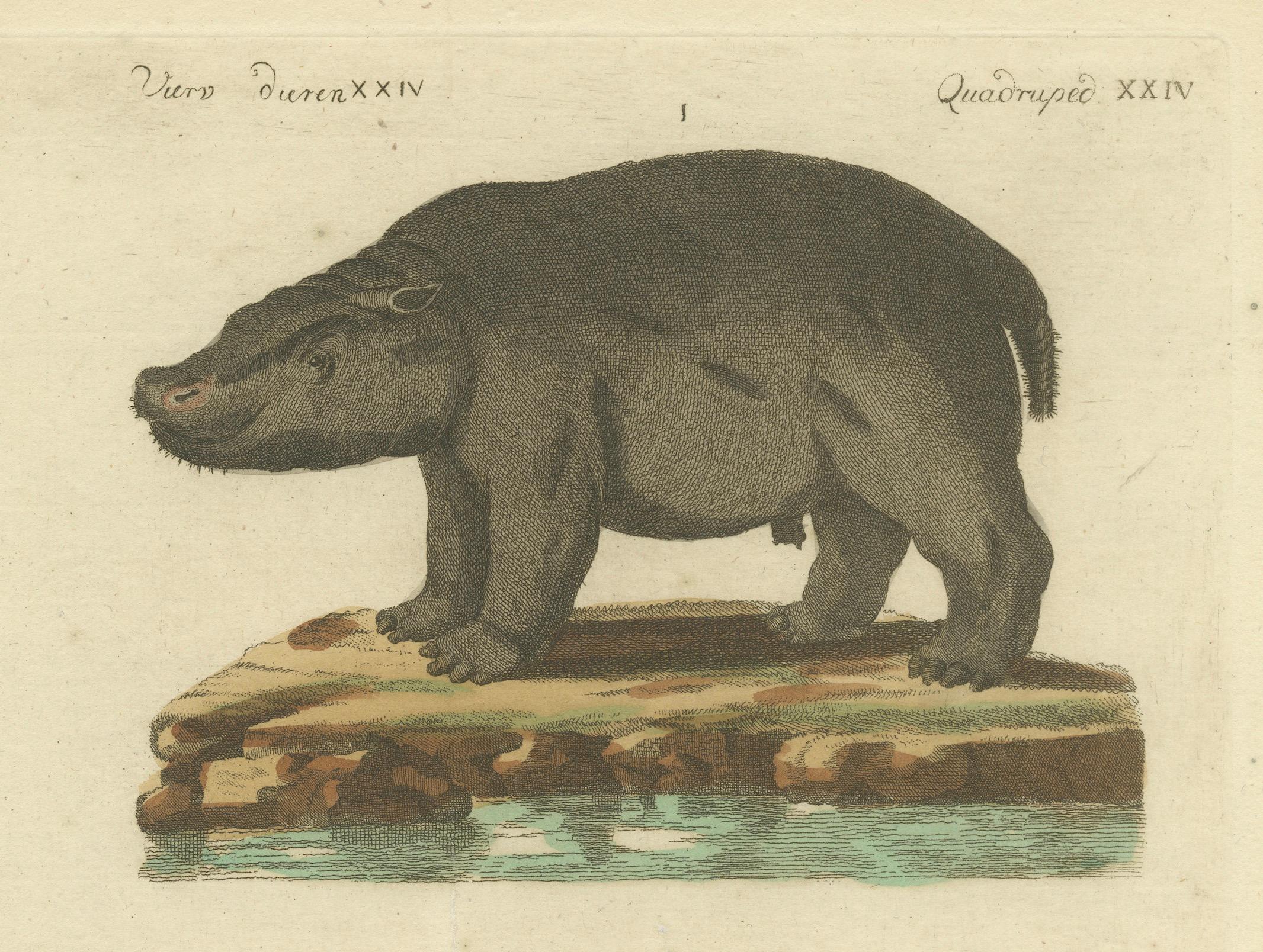 Début du XIXe siècle Gravure ancienne d'hippocampe et de Tapir par Bertuch, 1800 en vente