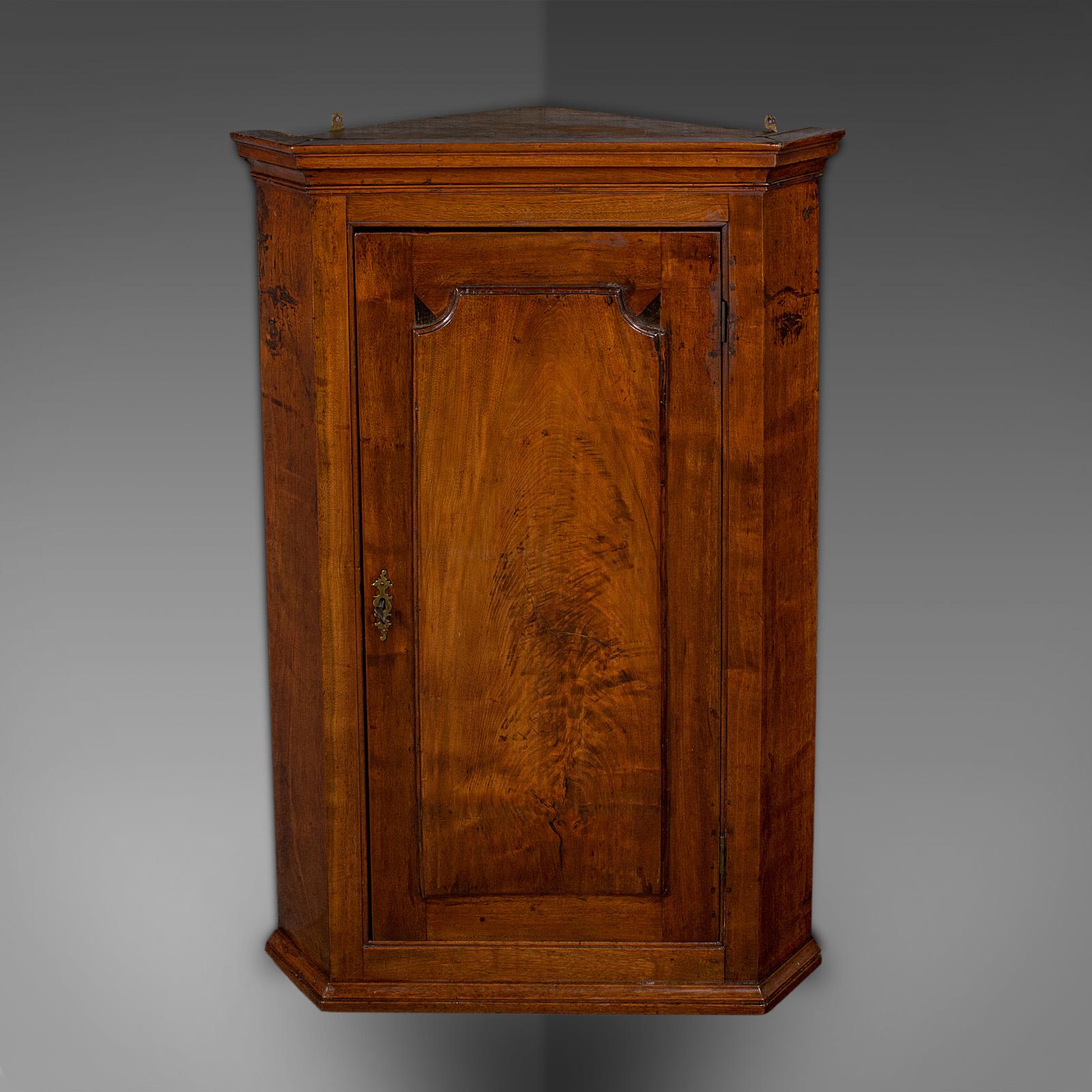 Antique Corner Cabinet, English, Wall Cupboard, Floor Standing, Georgian, c 1780 For Sale 3