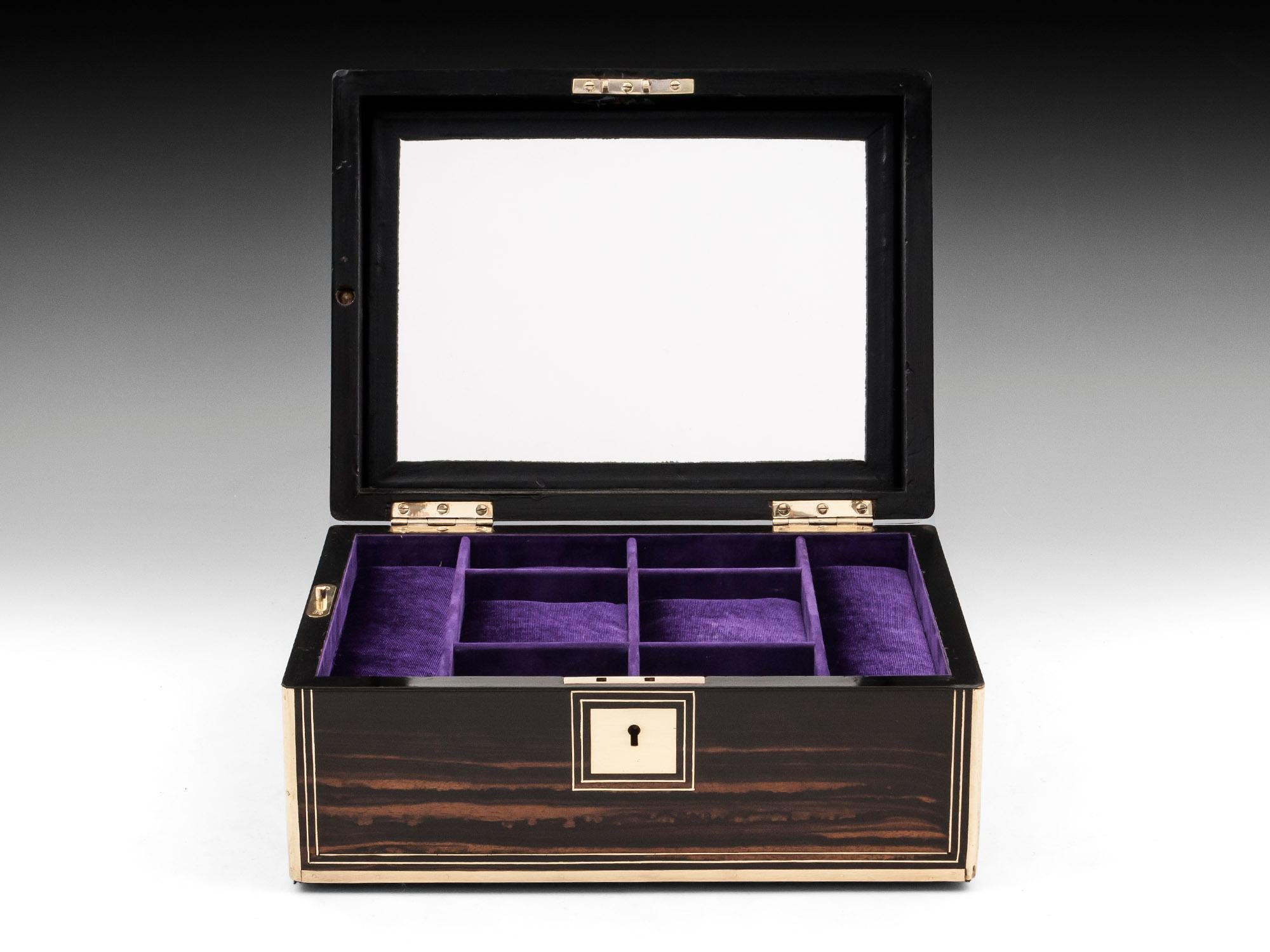 Antique Coromandel and Brass Velvet Lined Jewelry Box 19th Century 2