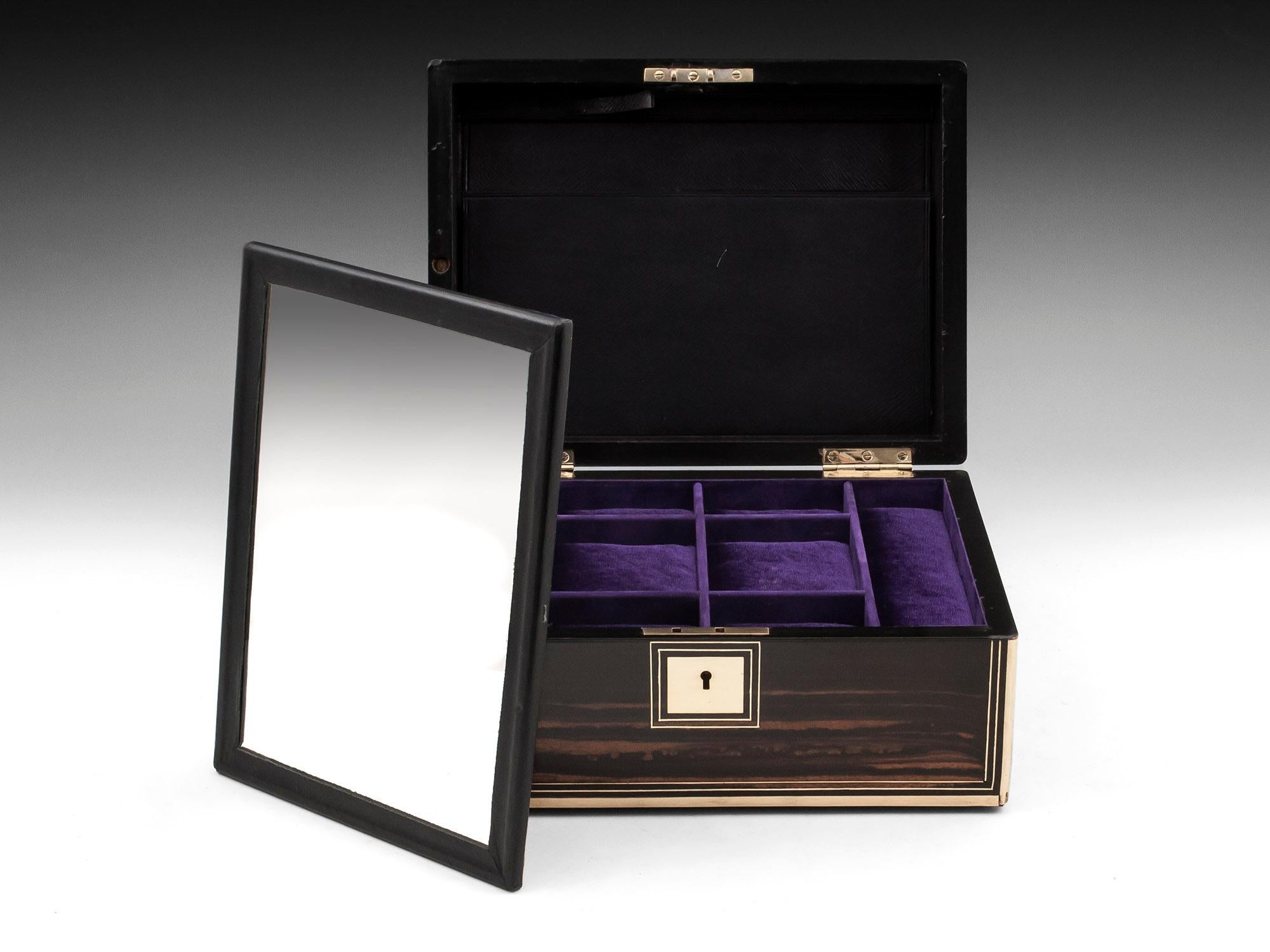 Antique Coromandel and Brass Velvet Lined Jewelry Box 19th Century 4