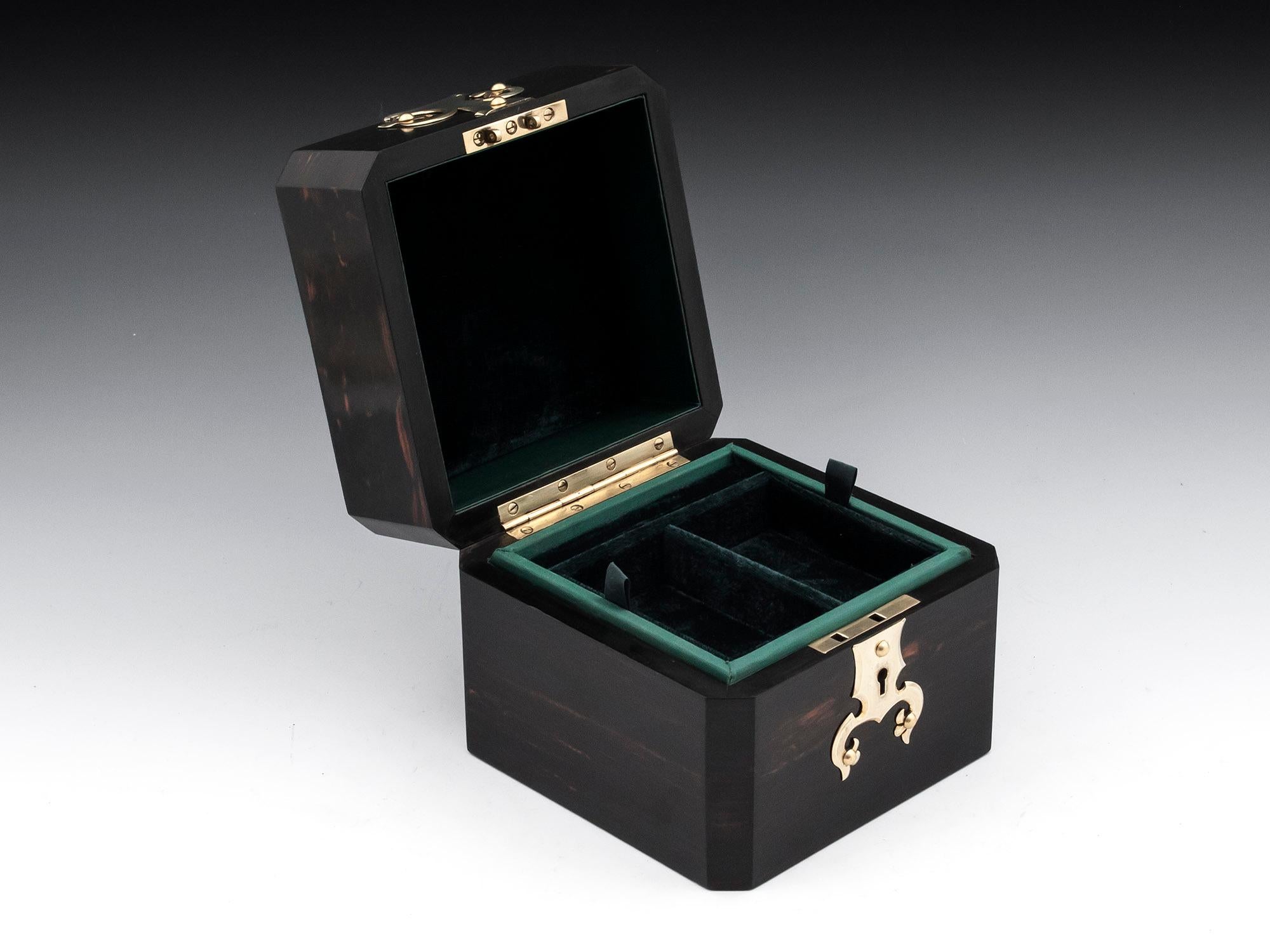 Macassar Antique Coromandel Jewelry Brass Watch Box