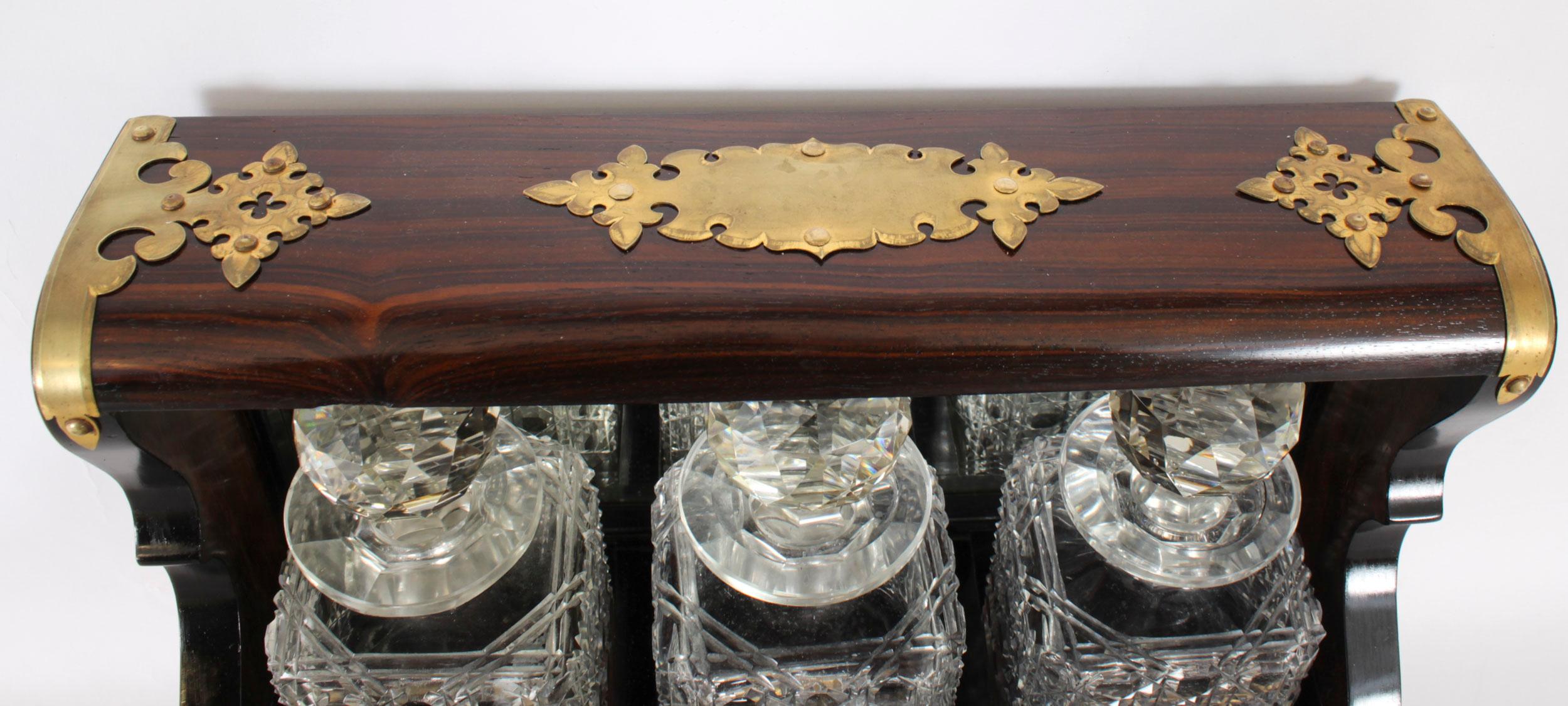 Ancienne carafe à trois carafes en cristal Tantale et tiroir de jeux de Coromandel 19e siècle en vente 3