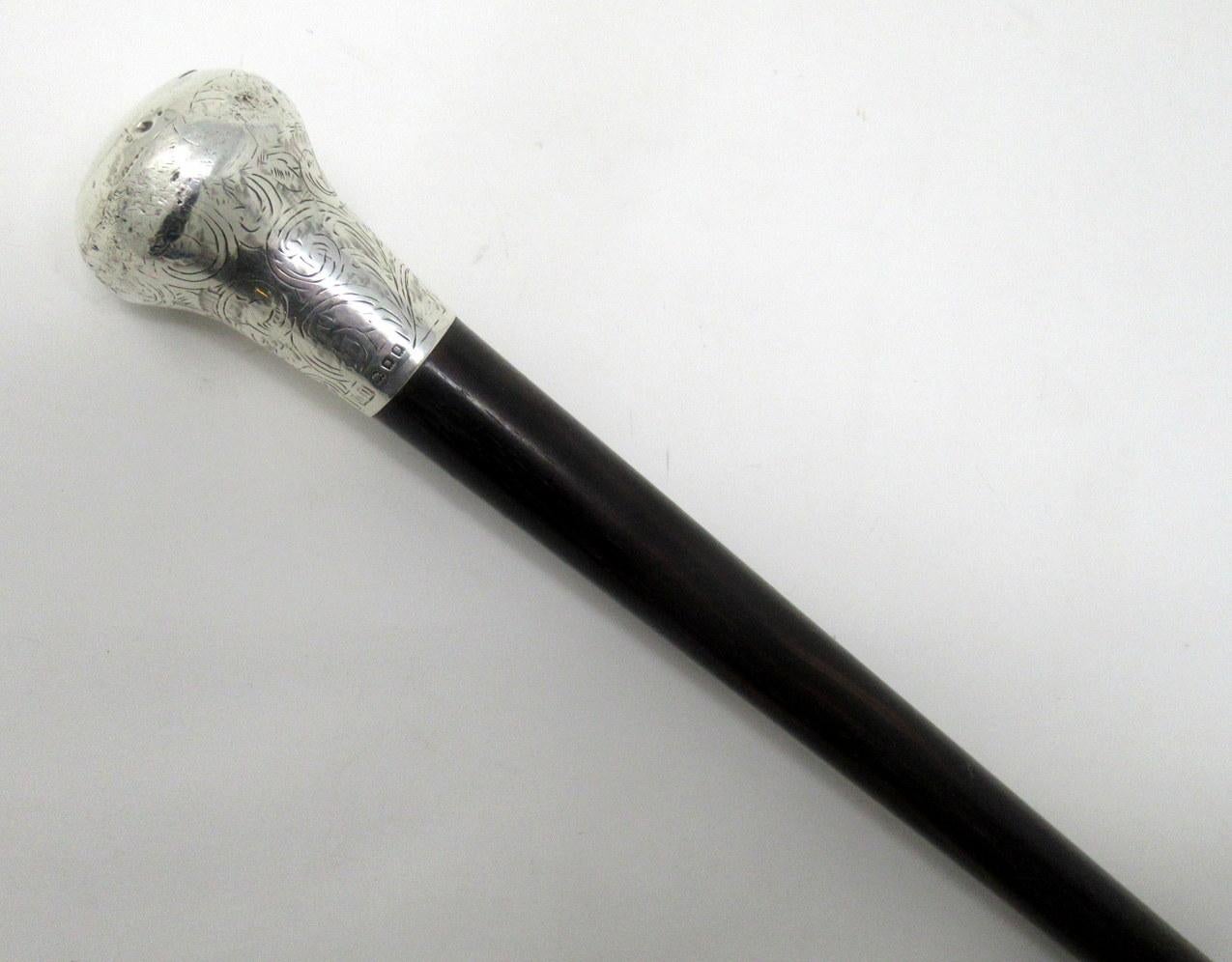 silver topped walking stick