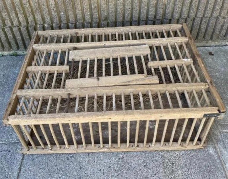 Antique Country Chicken Coop For Sale at 1stDibs