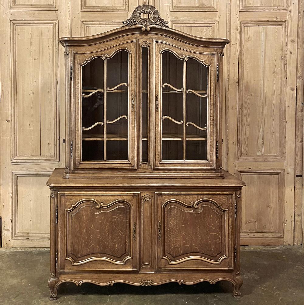 20th Century Antique Country French Vitrine or Bookcase