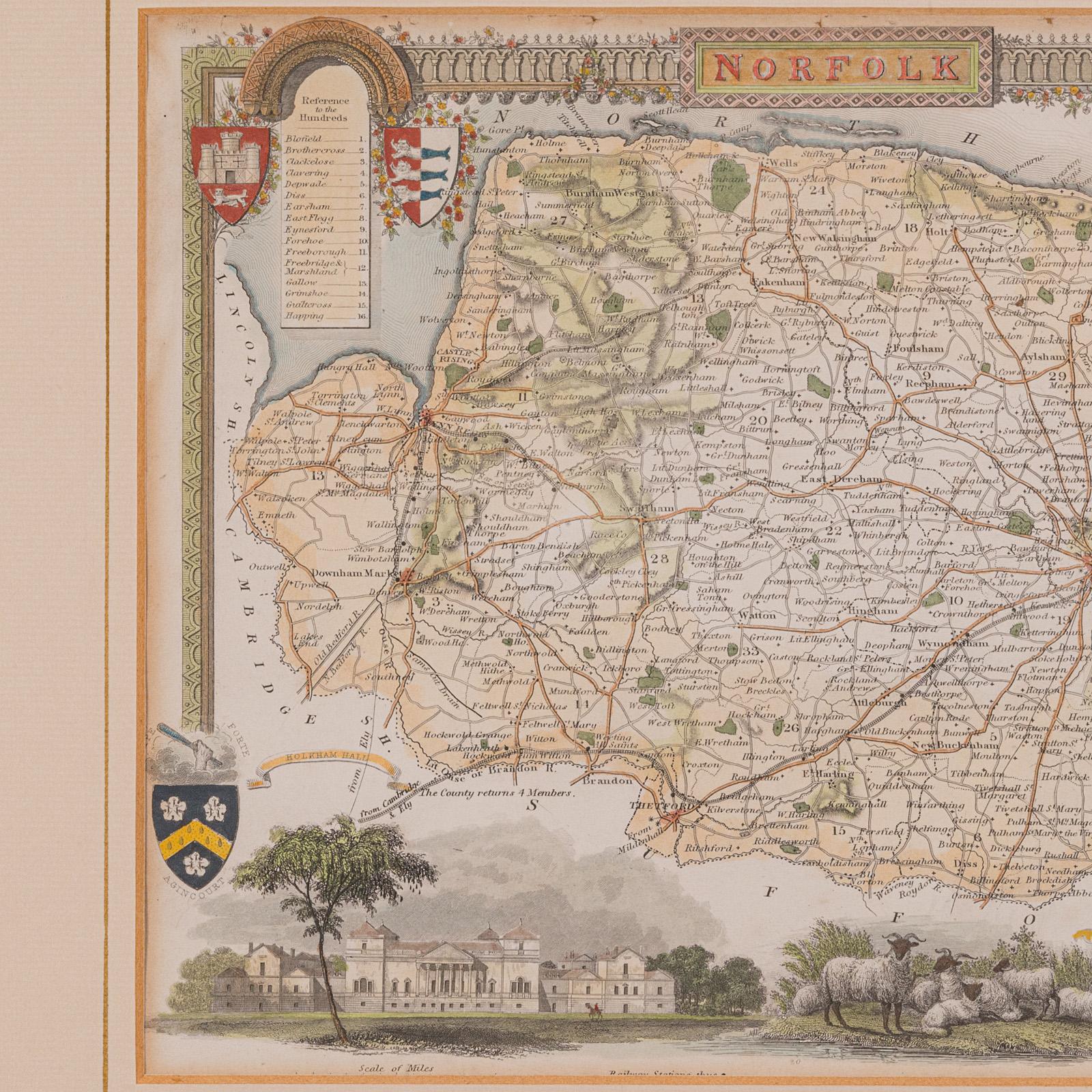 Carte ancienne du County, Norfolk, anglaise, lithographie encadrée, cartographie, victorienne Bon état - En vente à Hele, Devon, GB