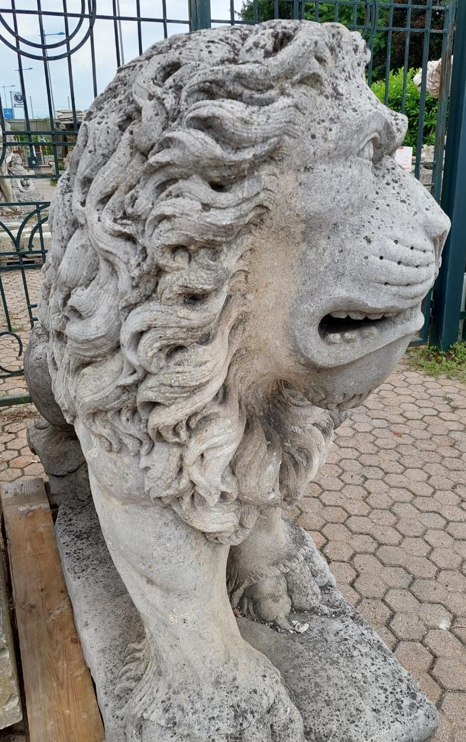 Das antike und sehr große Löwenpaar, das von Hand in Vicenza-Stein gehauen wurde, stand im Eingang einer Villa aus dem 19. Jahrhundert in Italien.
Als Symbol der Stärke ist der Löwe in den Villen der Mächtigen weit verbreitet, sehr groß und von