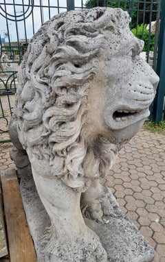 Antique couple Huge & Powerful Lion Sculpture Vicenza Stone, 19th Century Italy