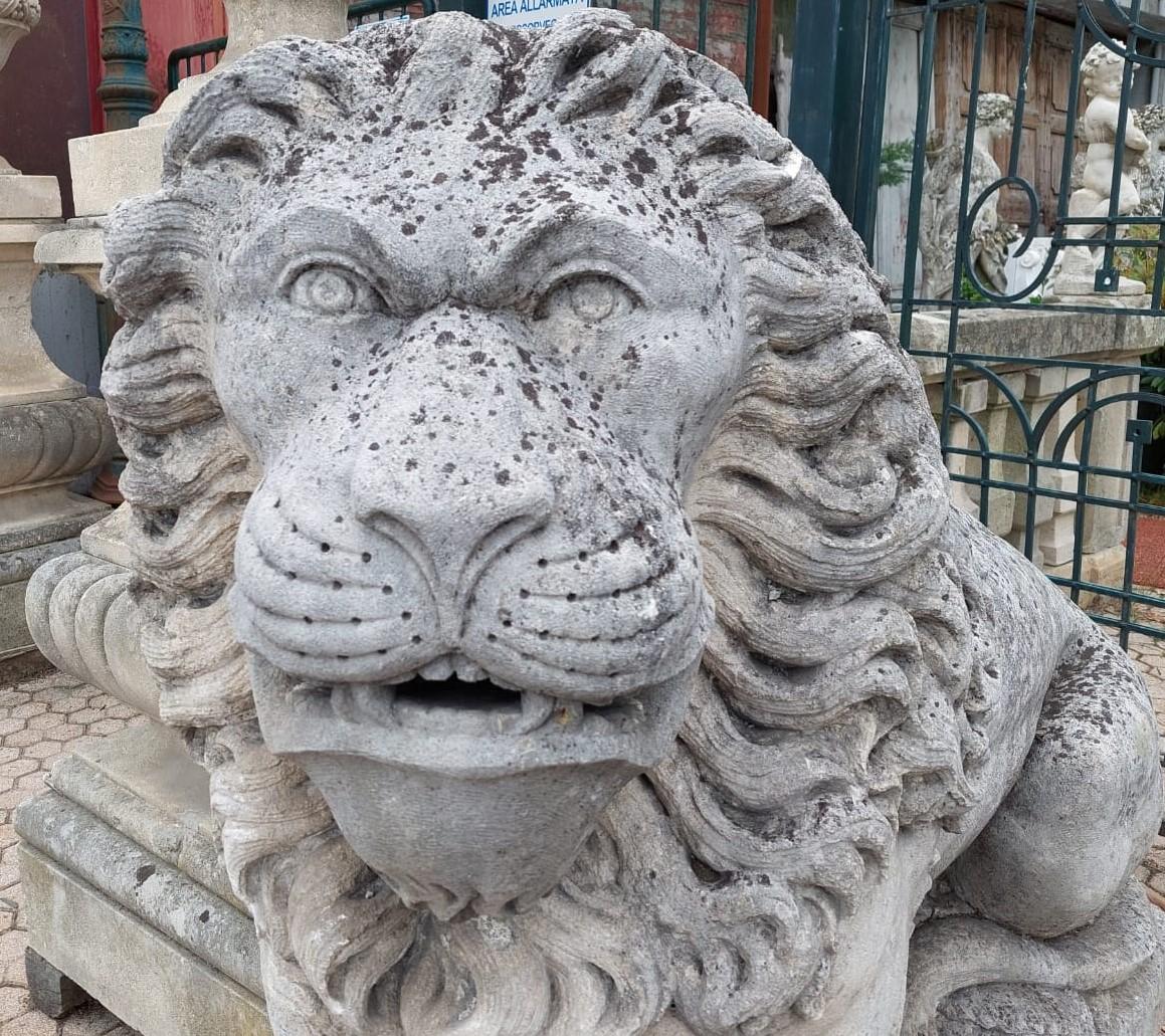 huge lion statue