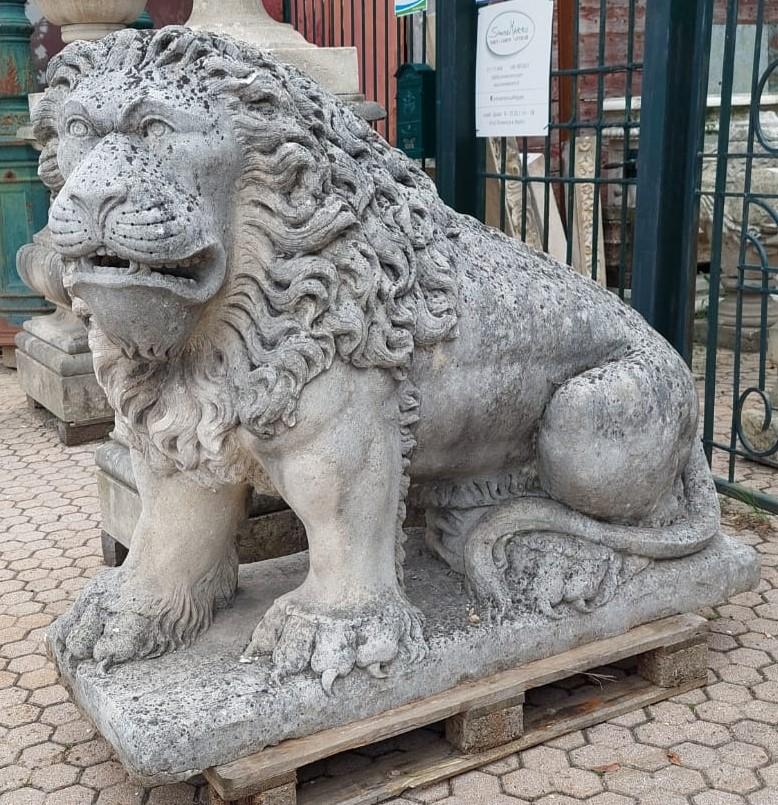Antike Paar riesige und mächtige Löwen-Skulptur aus Vicenza-Stein, 19. Jahrhundert, Italien (Handgeschnitzt) im Angebot