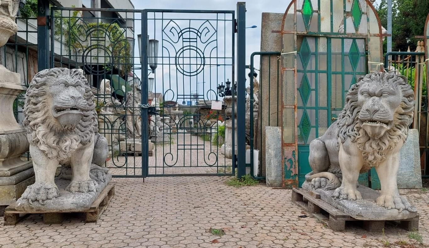 Antike Paar riesige und mächtige Löwen-Skulptur aus Vicenza-Stein, 19. Jahrhundert, Italien im Zustand „Gut“ im Angebot in Cuneo, Italy (CN)