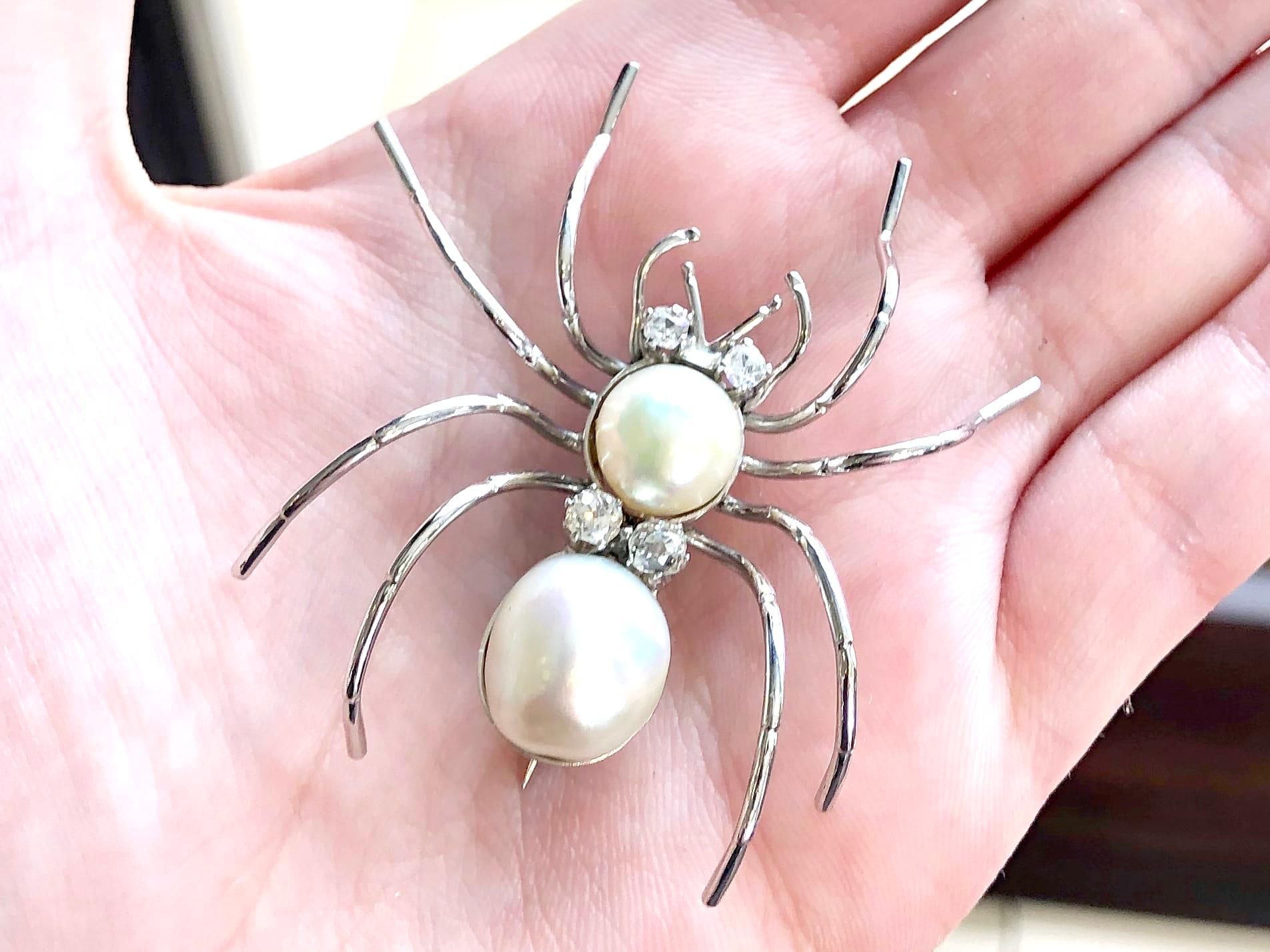 antique spider brooch