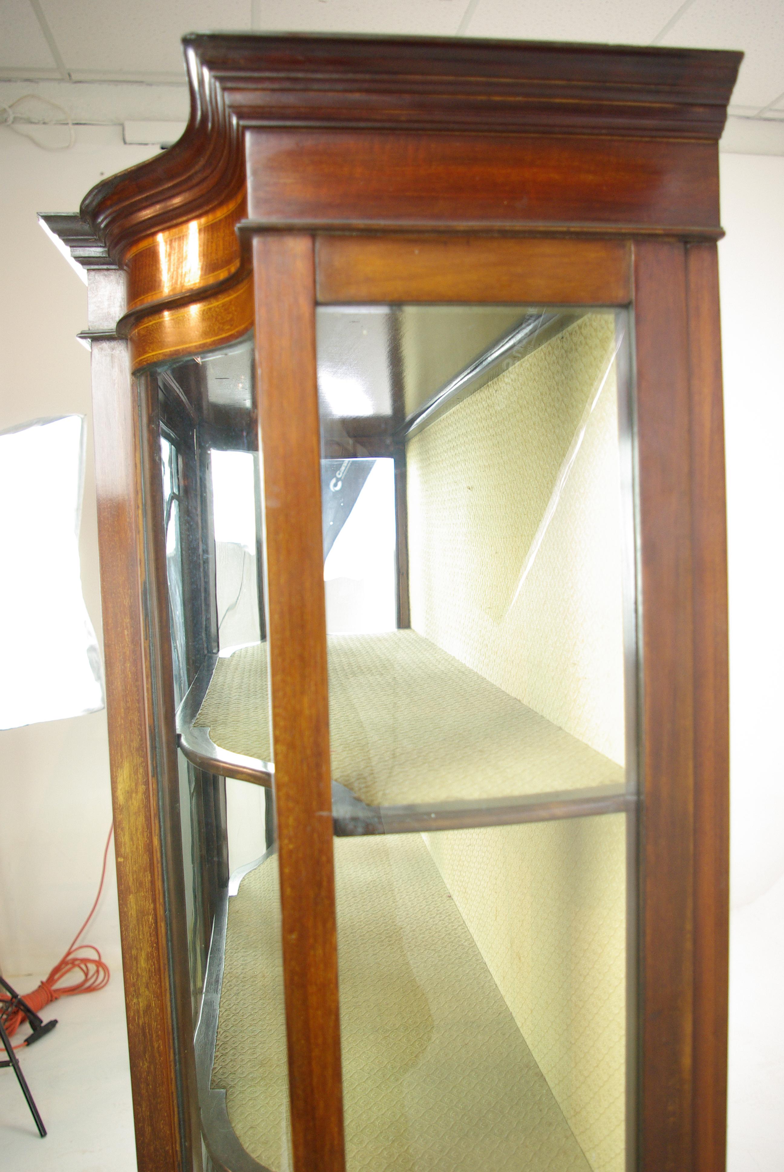 Antique Curio Cabinet, Display Cabinet, Walnut, Serpentine Glass, 1910 1