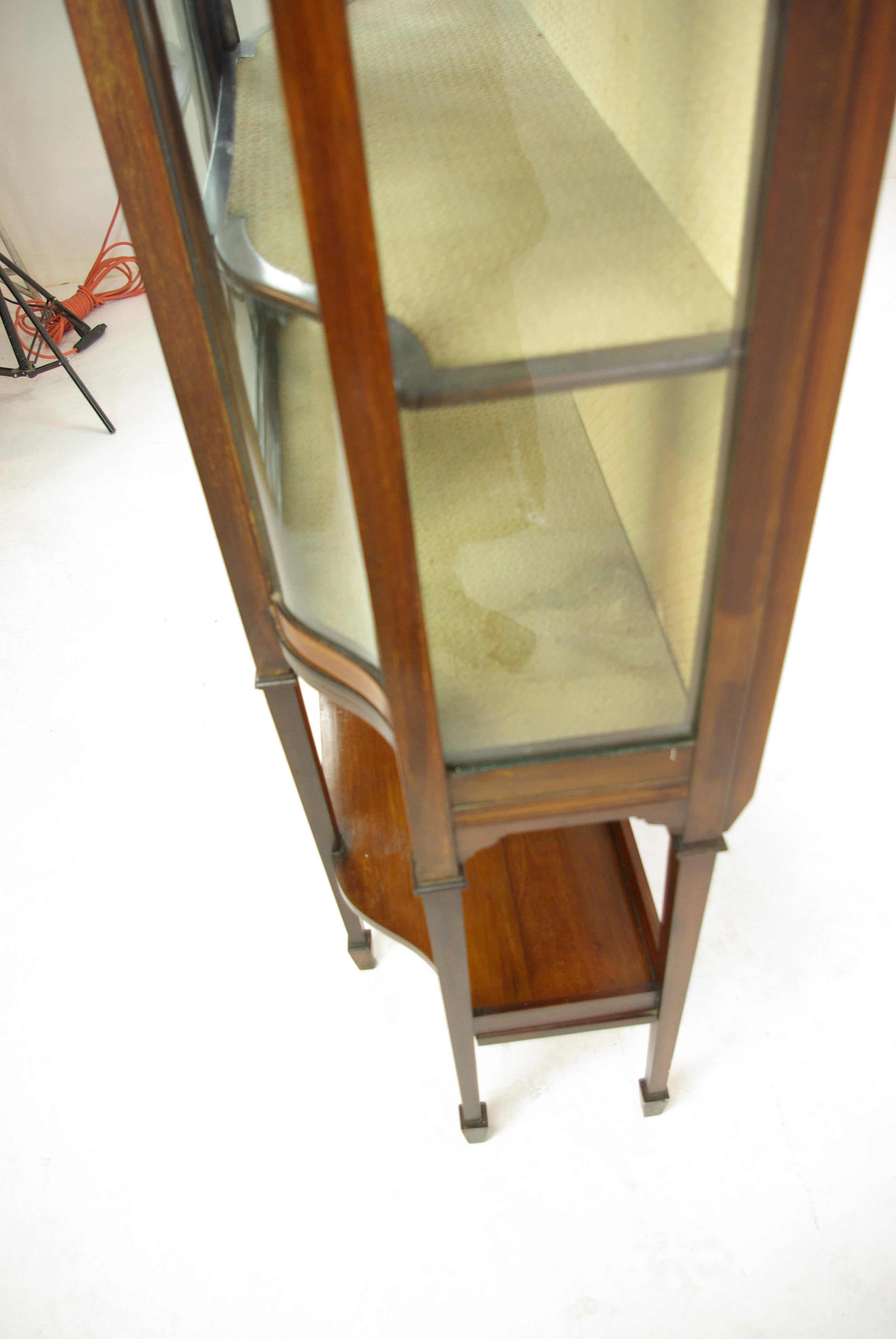 Antique Curio Cabinet, Display Cabinet, Walnut, Serpentine Glass, 1910 2