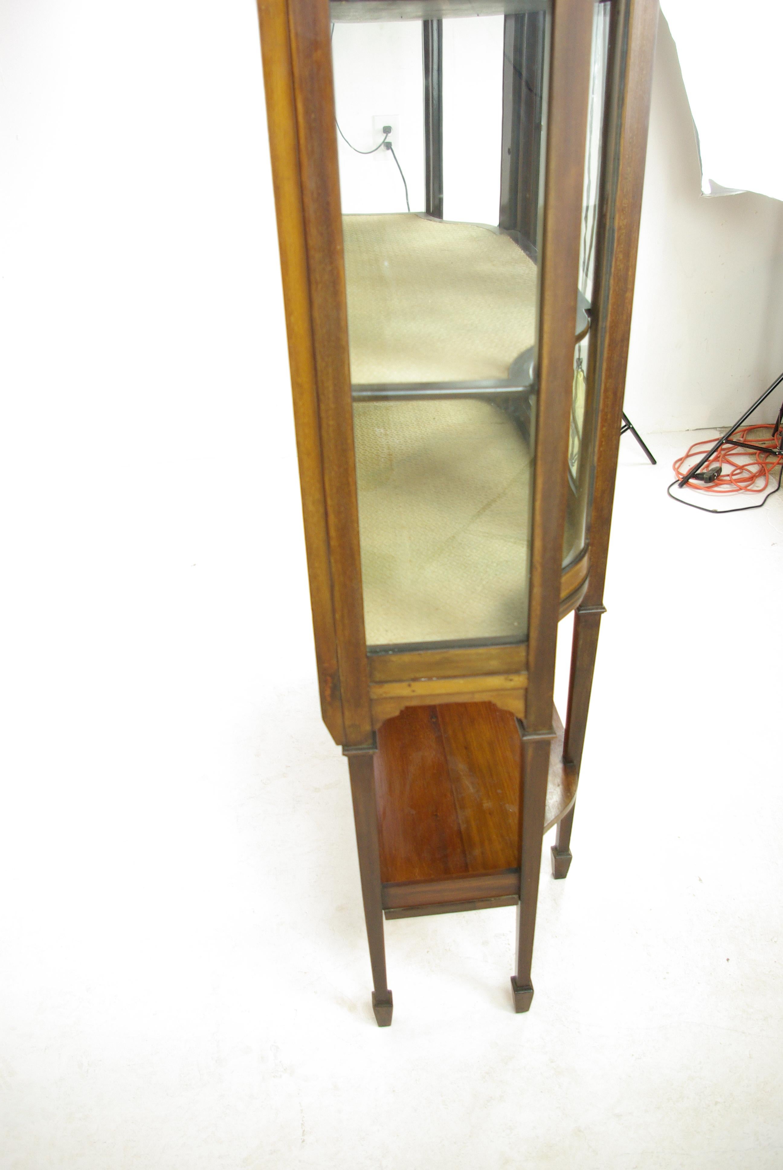 Antique Curio Cabinet, Display Cabinet, Walnut, Serpentine Glass, 1910 4