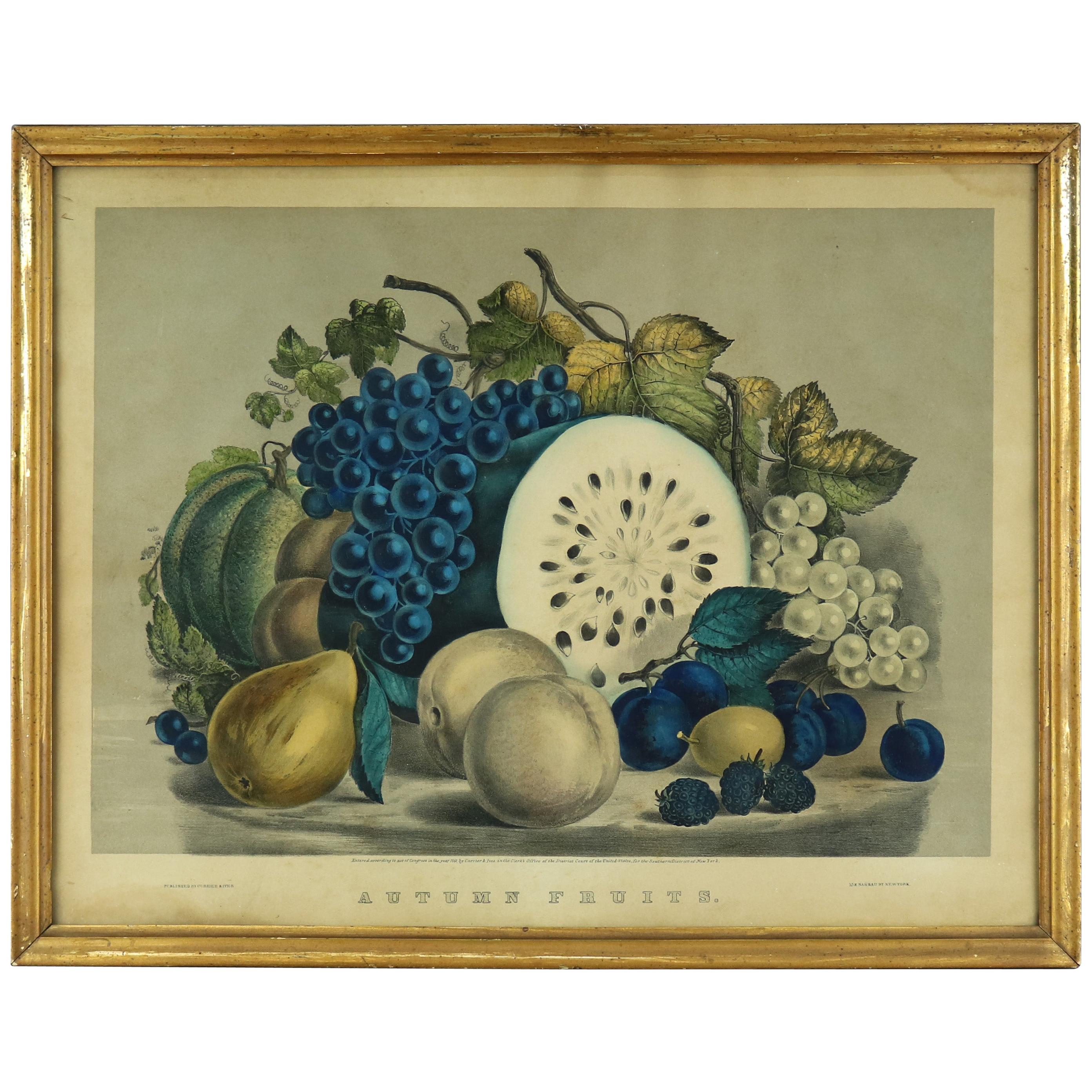 Antique Currier & Ives Still Life Lithograph in Gilt Frame, Autumn Fruits