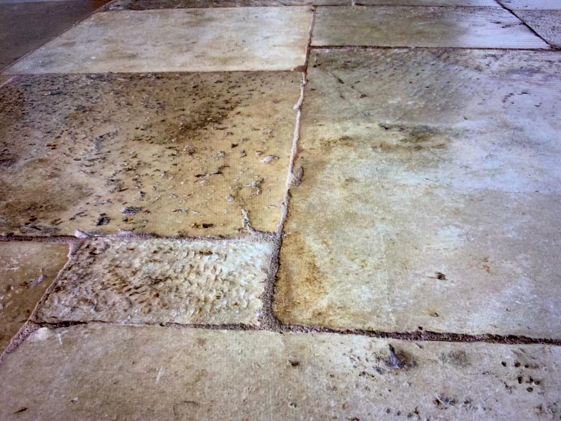 Antique Dalles De Bourgogne Limestone Flooring, 18th Century For Sale 1