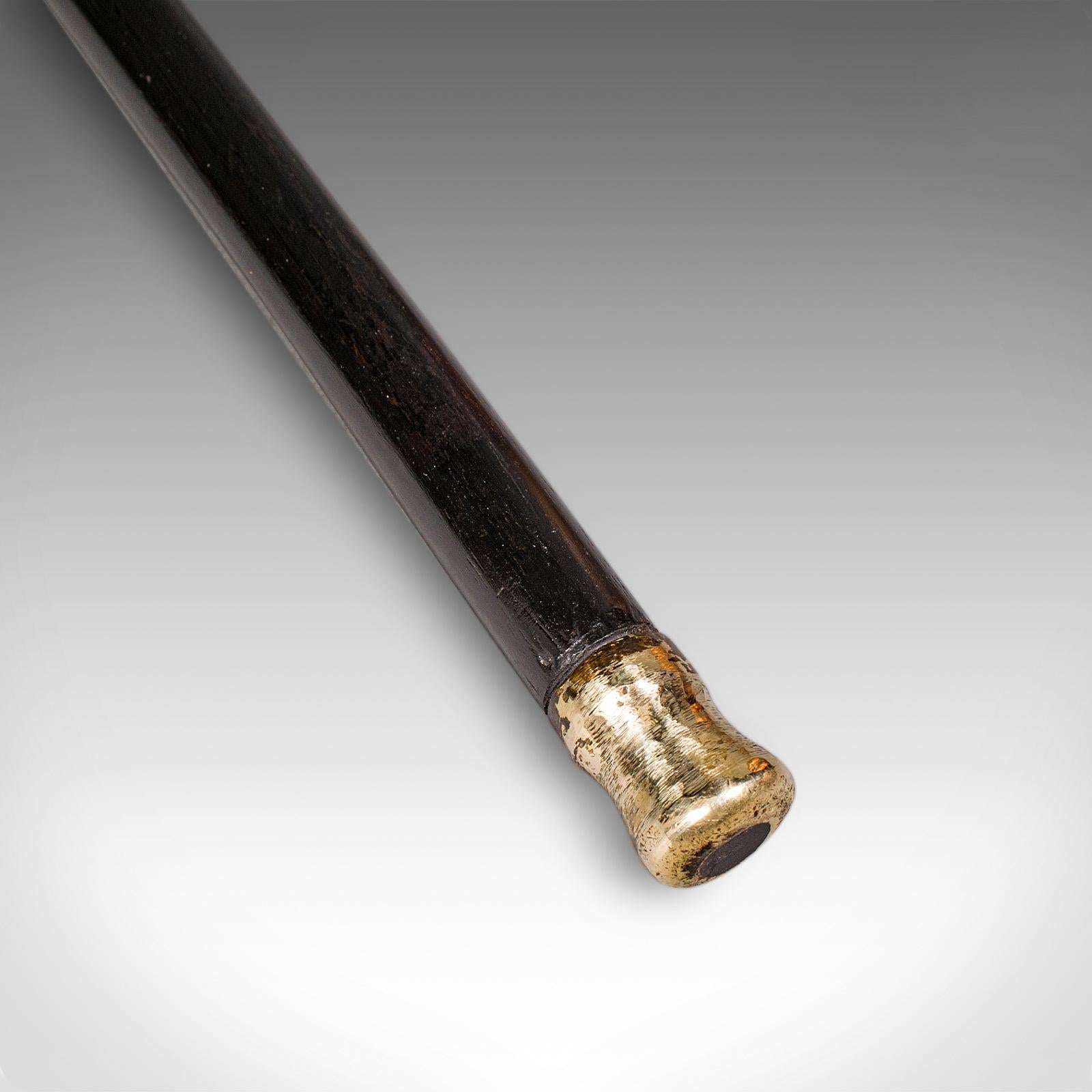 Ancienne canne de dandy, anglaise, bâton, ébénisterie, victorienne, 1889 Hallmark Bon état - En vente à Hele, Devon, GB