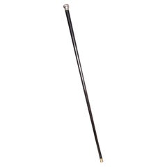 Antique Dandy’s Walking Cane, English, Stick, Ebonised, Victorian, 1889 Hallmark