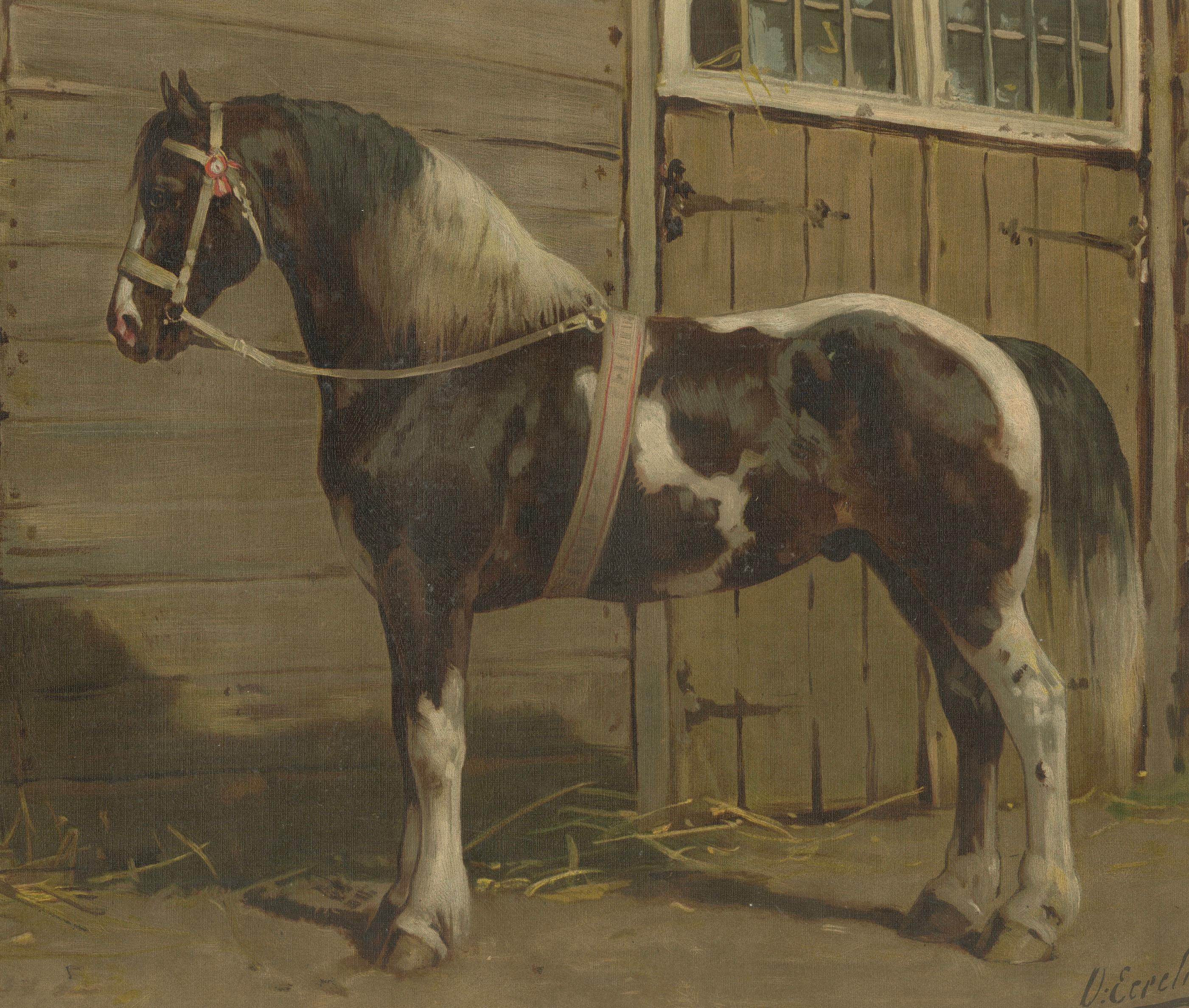 Antique Danish Horse Portrait 1898, Scandinavian Equesestrian Lithograph