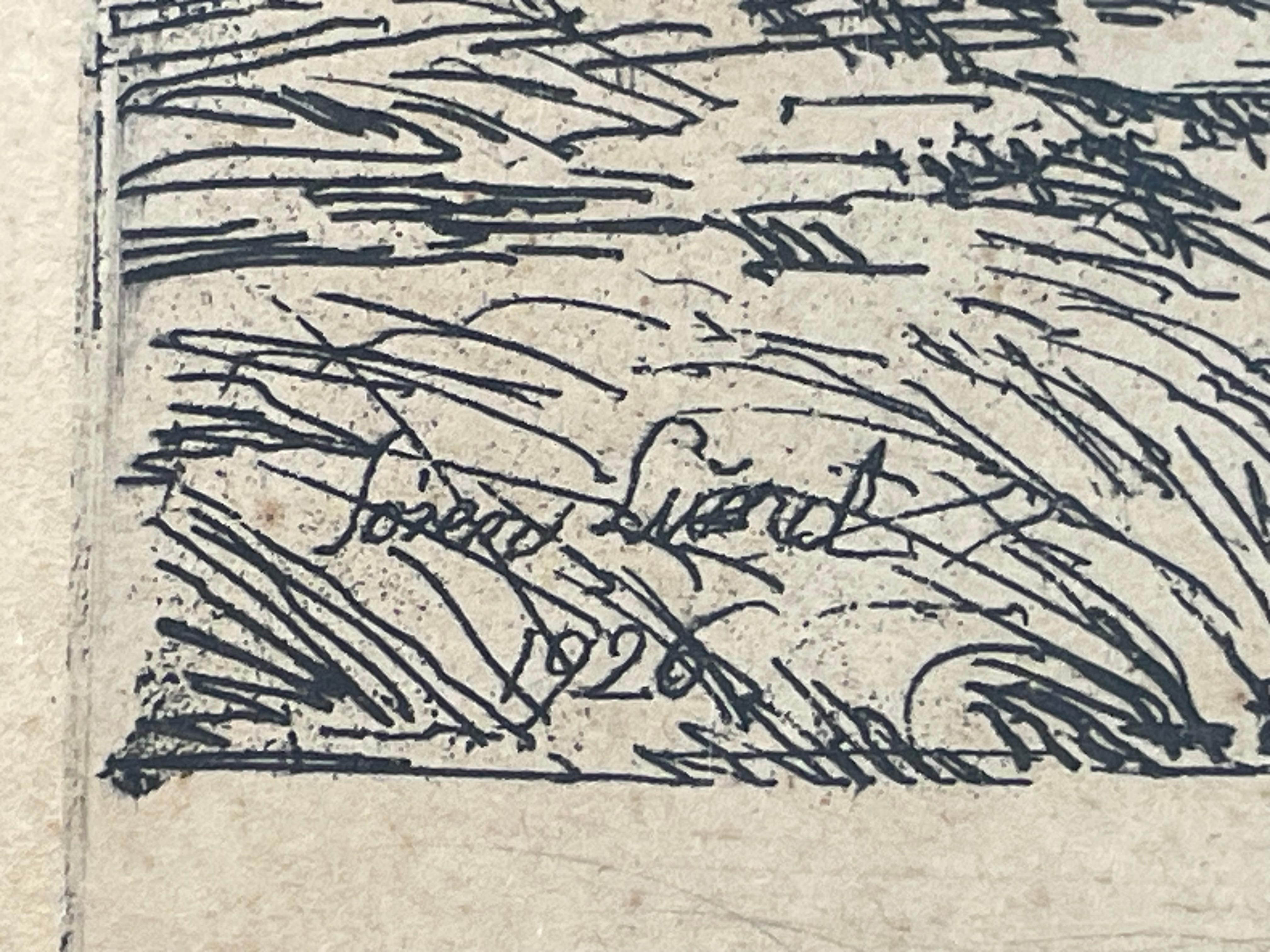 20th Century Antique Danish Søren Lund (1852-1933) etchings with St. St. Blicher qoutes For Sale