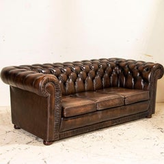 Antique Dark Brown Leather Chesterfield Sofa and Pair of Chesterfield Club Chair