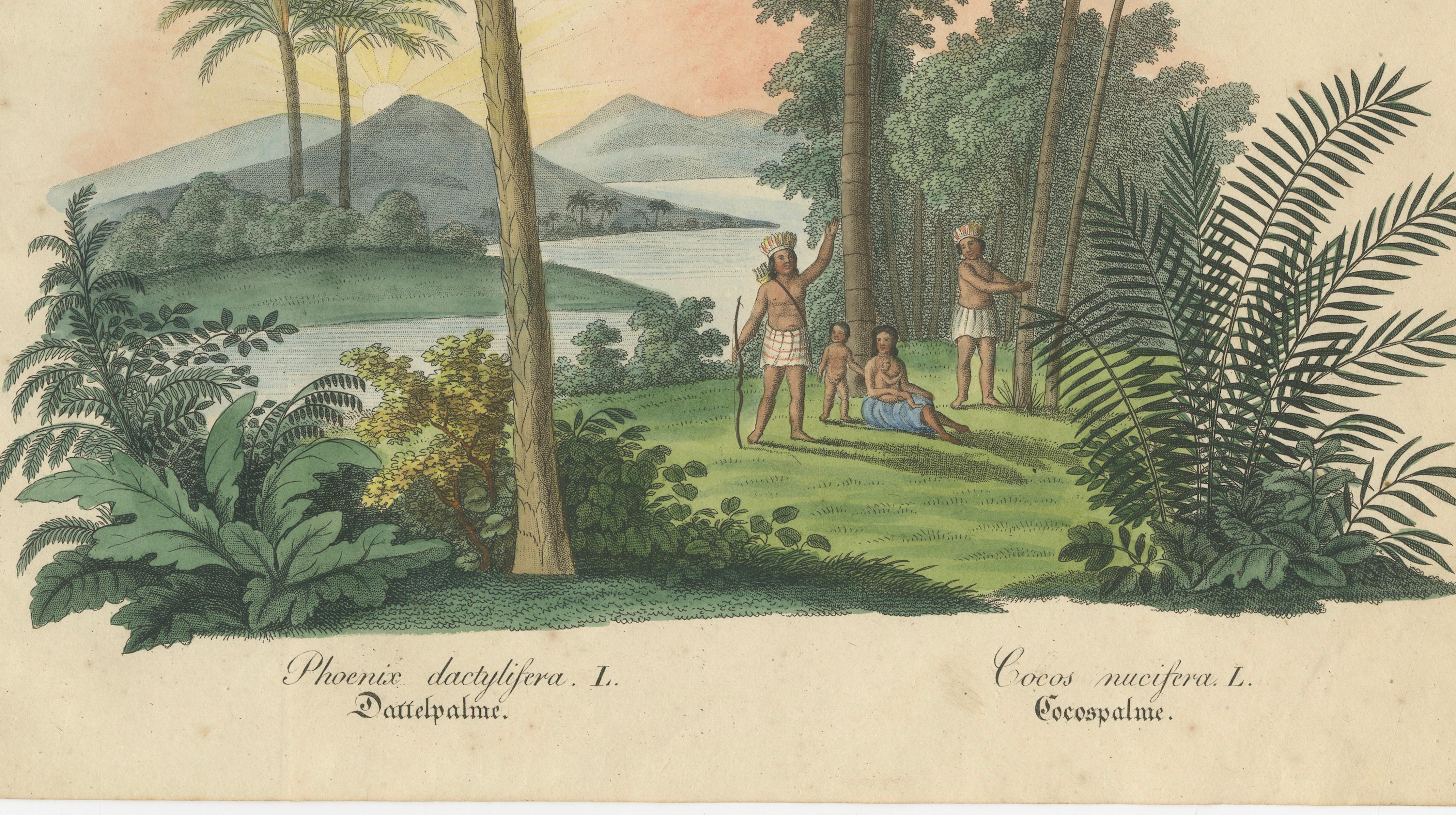 Antique Date Palm & Coconut Botanical Scene, Phoenix & Cocos, c.1831