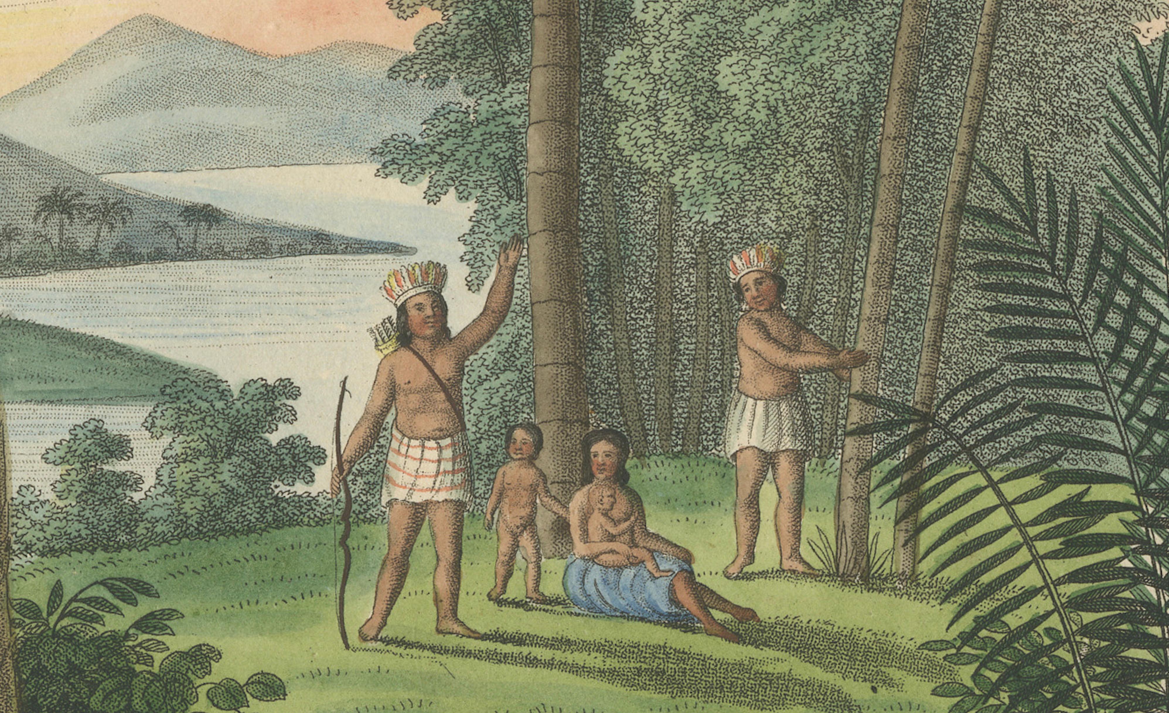 Antique Date Palm & Coconut Botanical Scene, Phoenix & Cocos, c.1831