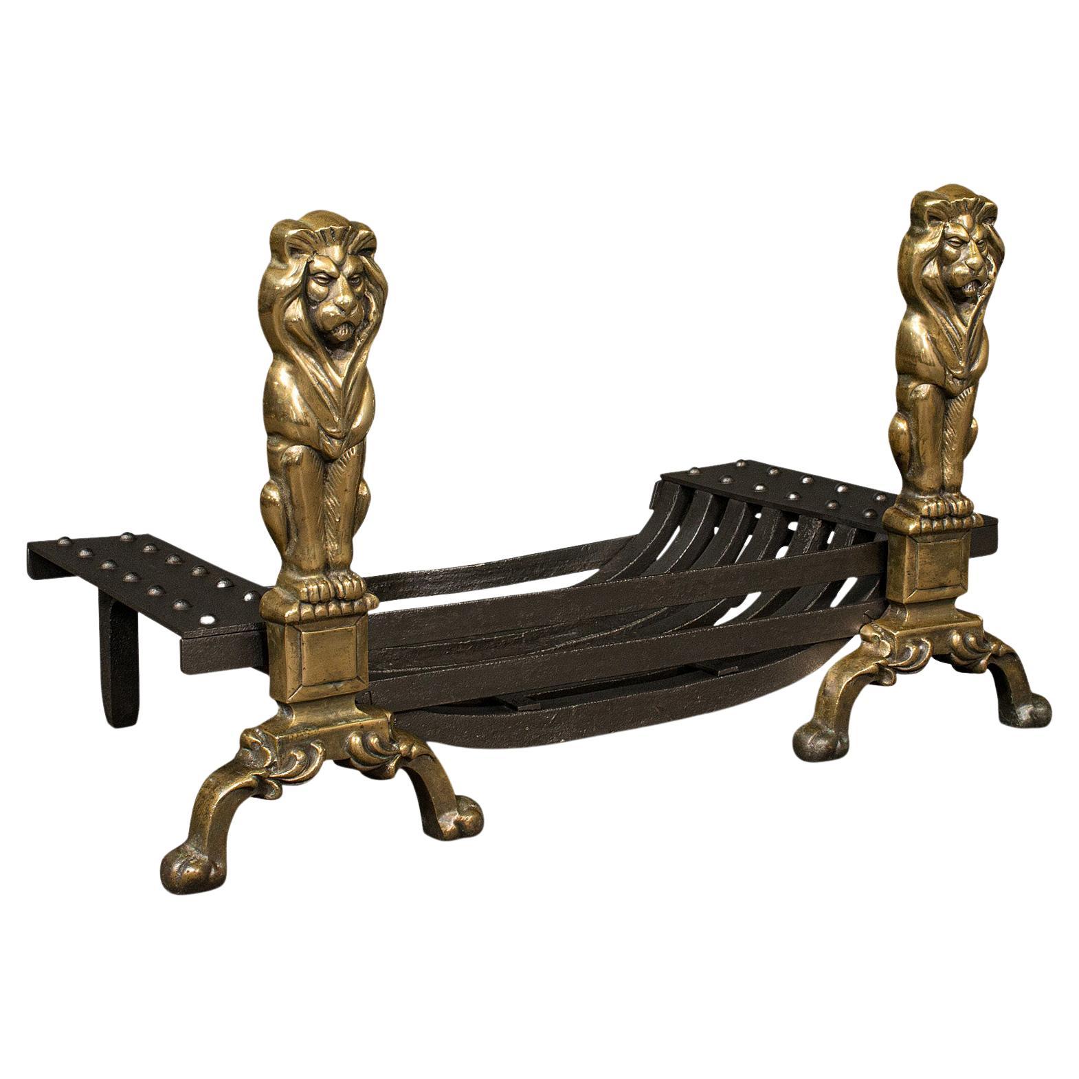 Antique Iron and Brass Dragons Fireplace Fire Dogs, a Pair For Sale at 1stDibs