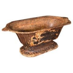 Antike dekorative Pflanzgefäßkanne mit Fuß, englisch, Gusseisen, viktorianisch