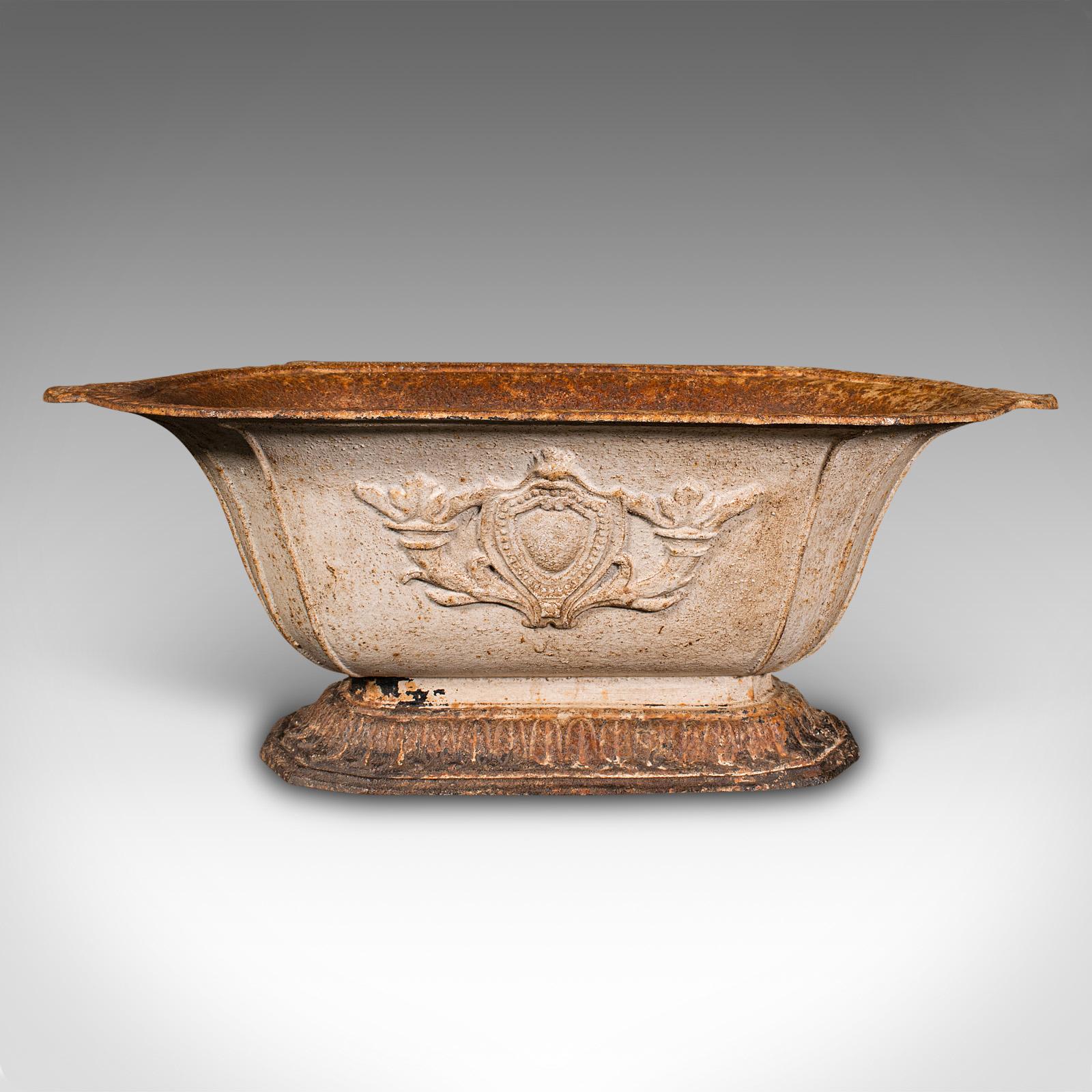 This is an antique decorative planter. An English, cast iron footed jardiniere pot, dating to the early Victorian period, circa 1850.

Of appealing 19th century taste, with a finely weathered appearance
Displays a desirable aged patina and presented