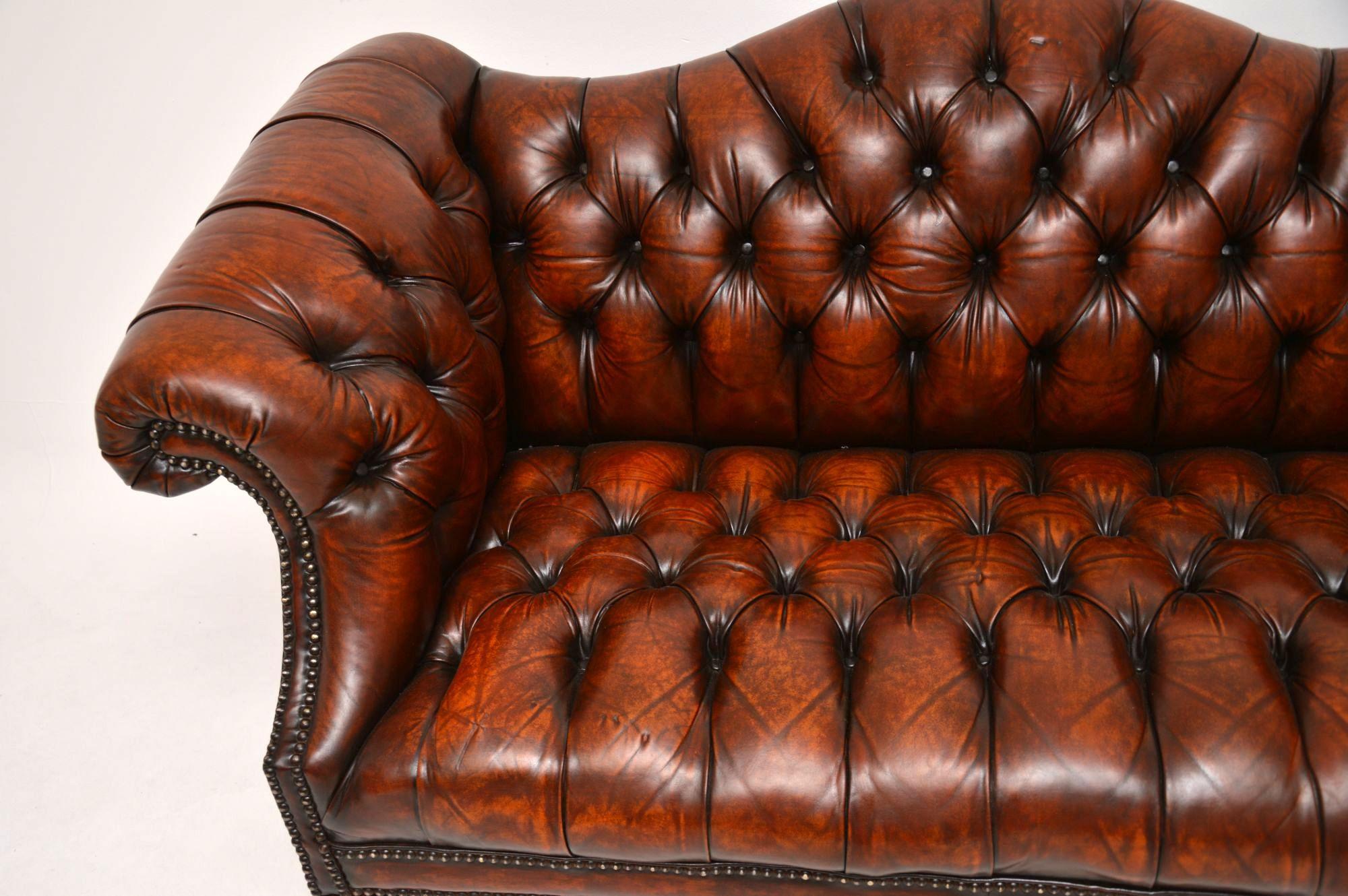 humping leather sofa