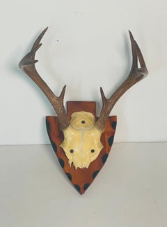 Antique Deer Antlers Trophy on Wood Board