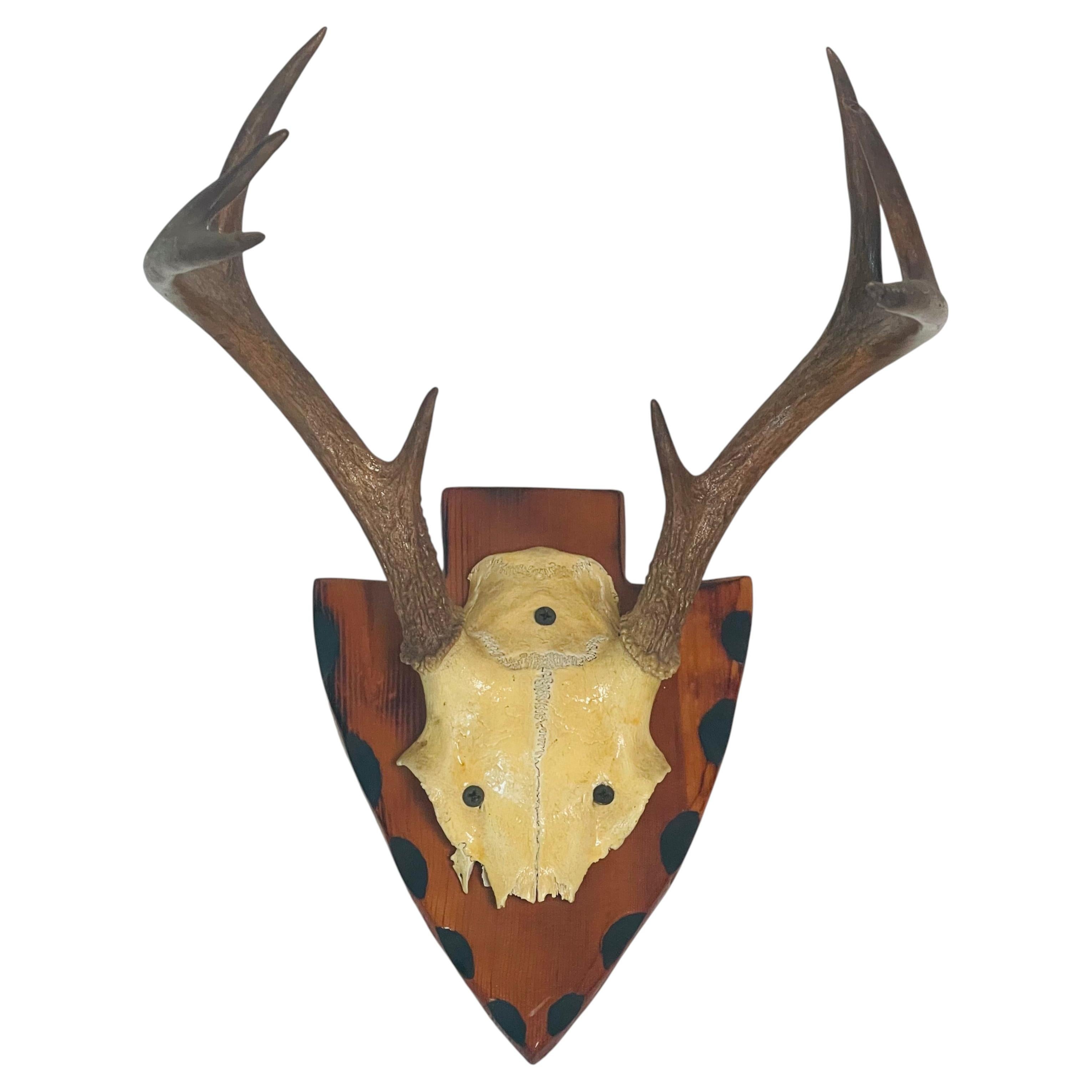 Antique Deer Antlers Trophy on Wood Board