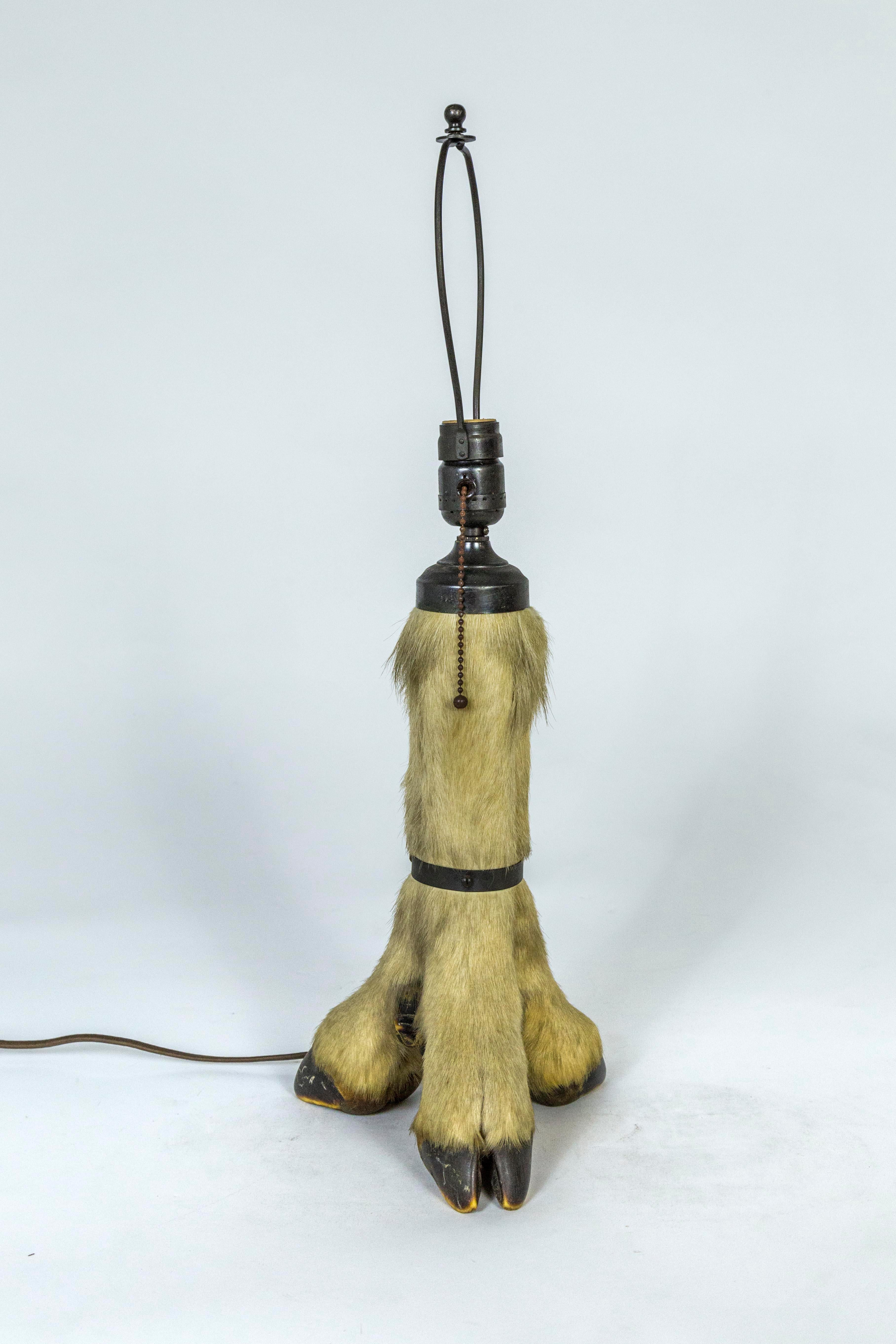 Antique Deer Hoof Table Lamp For Sale 3