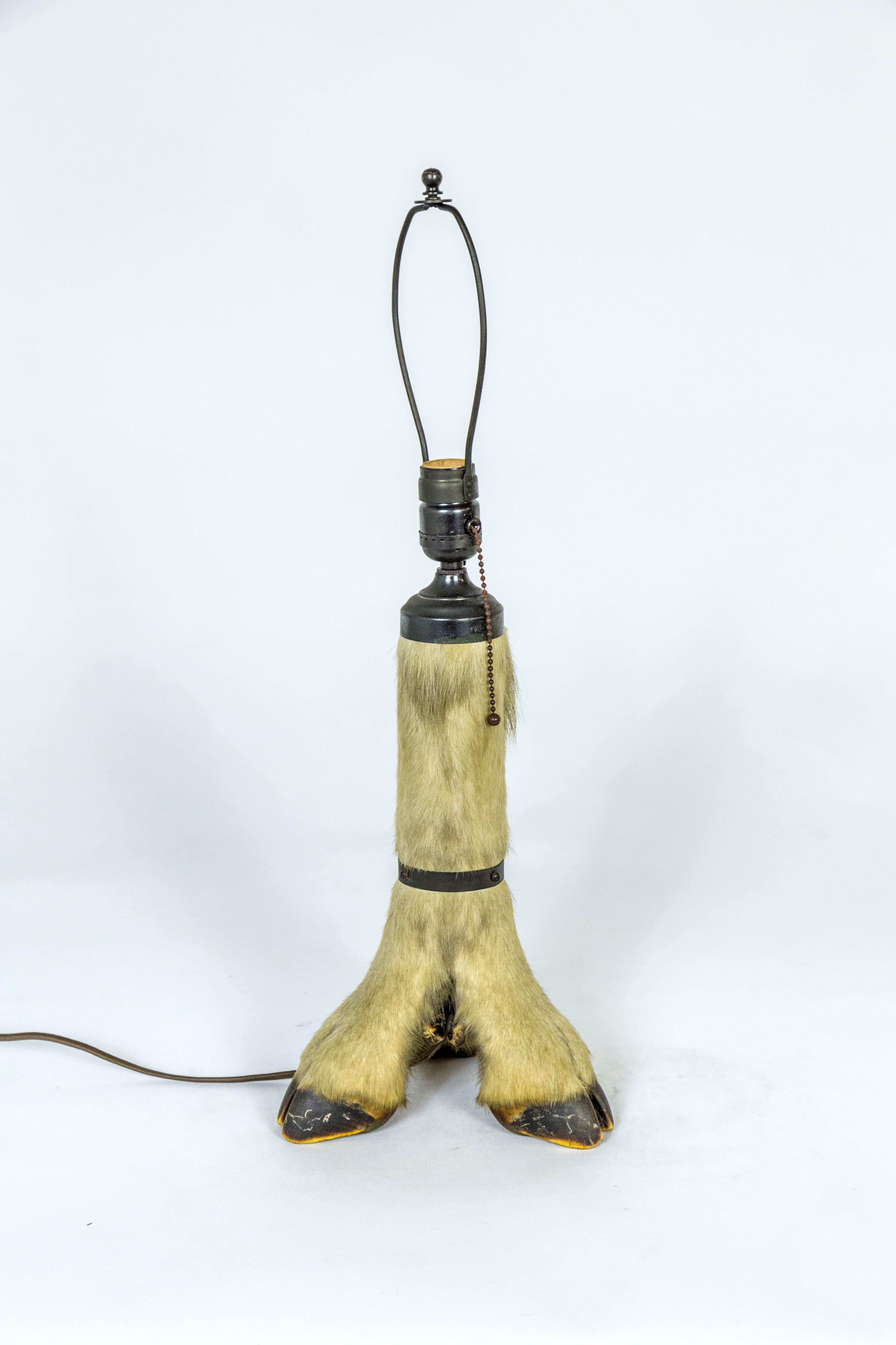 A circa 1920s, American table lamp composed of a tri-hoof deer leg, with blackened, brass strap detail and pull cord. 16.5” height x 8” wide.
  
