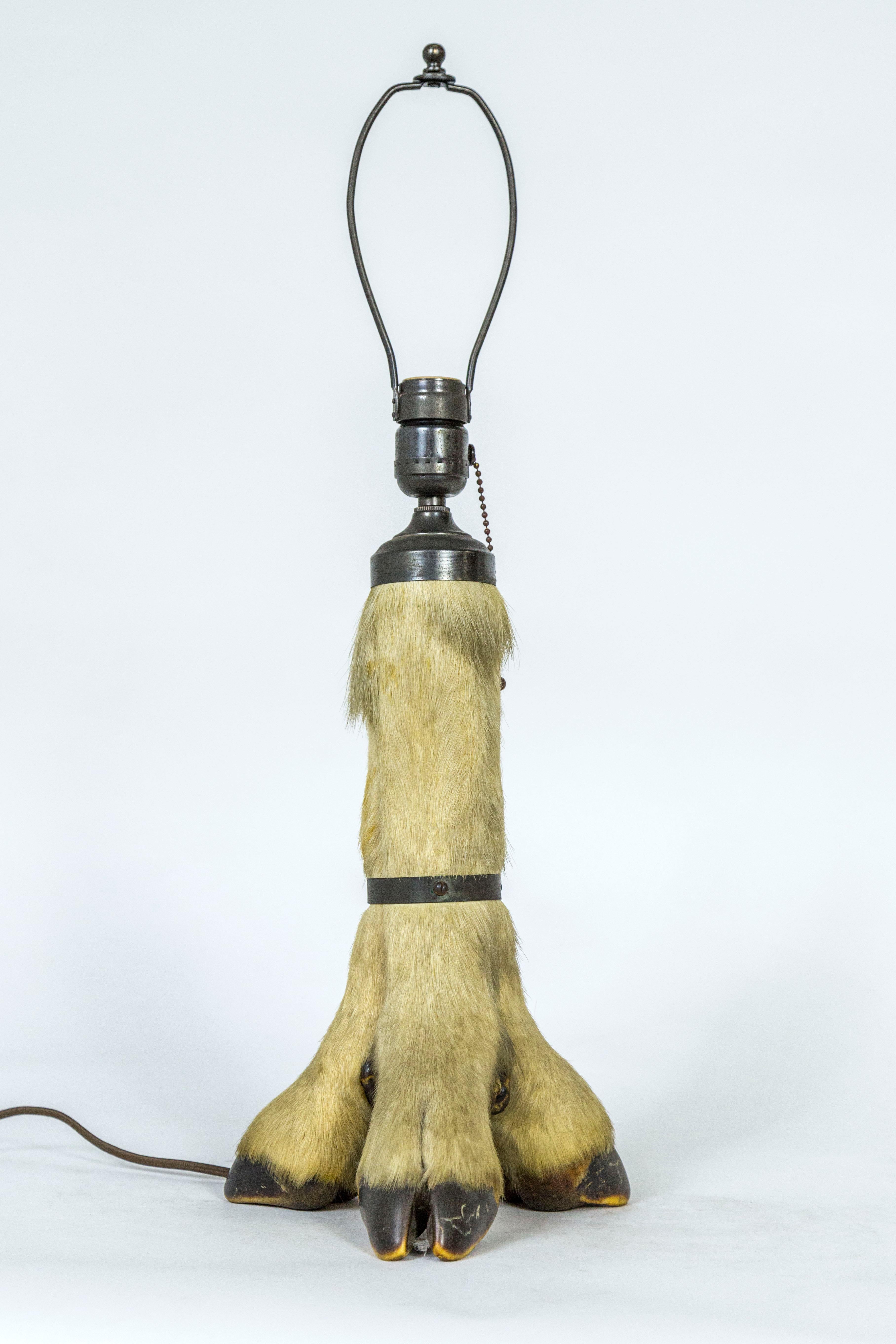 Black Forest Antique Deer Hoof Table Lamp For Sale