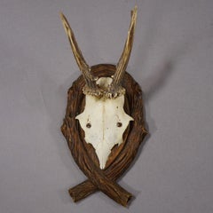 Antique Deer Trophy on Carved Plaque, Germany 1942